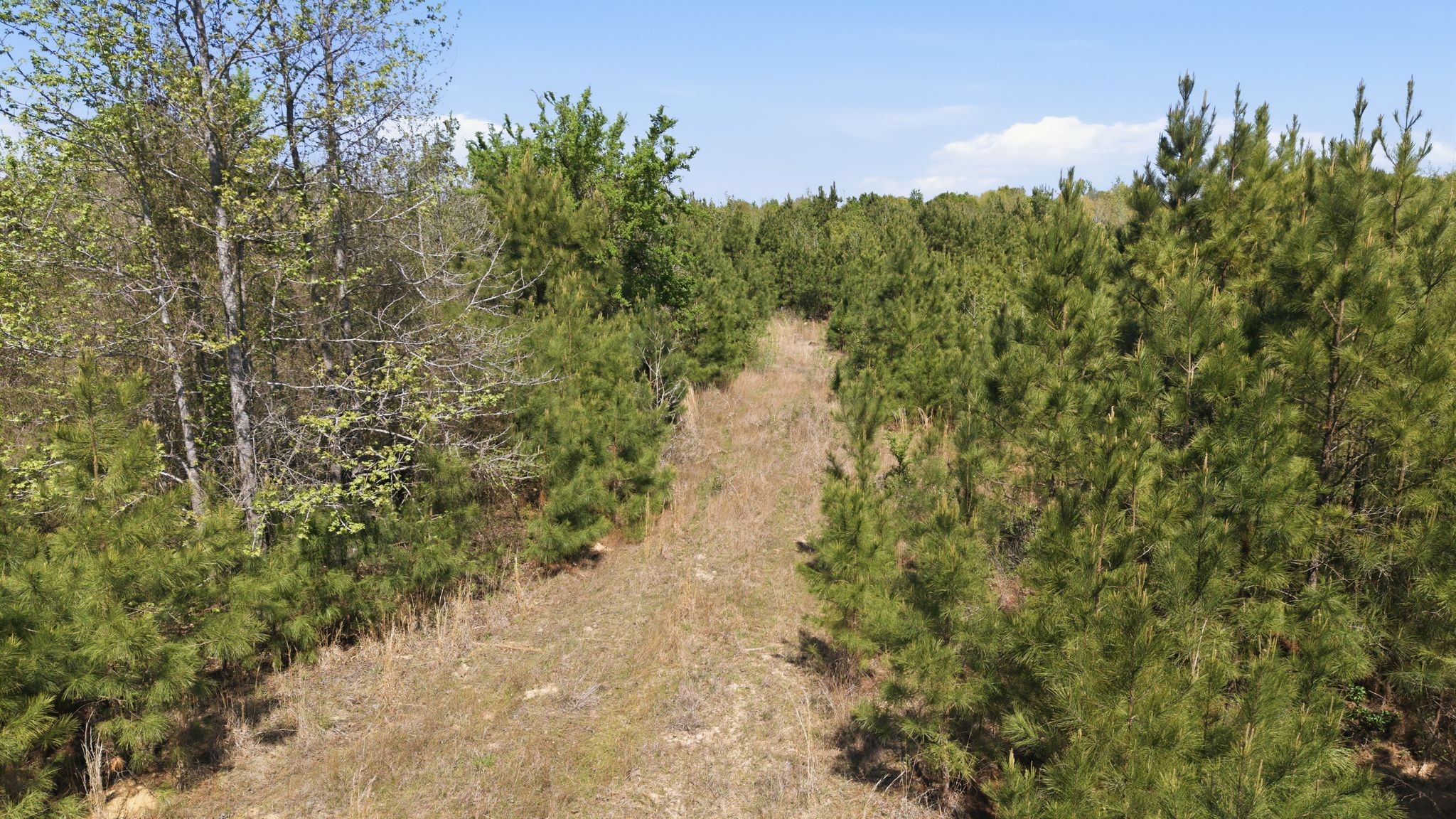 Tbd Cr 2382 Alba TX 75410