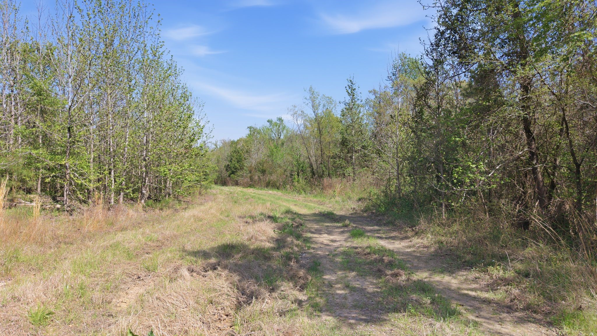 Tbd Cr 2382 Alba TX 75410