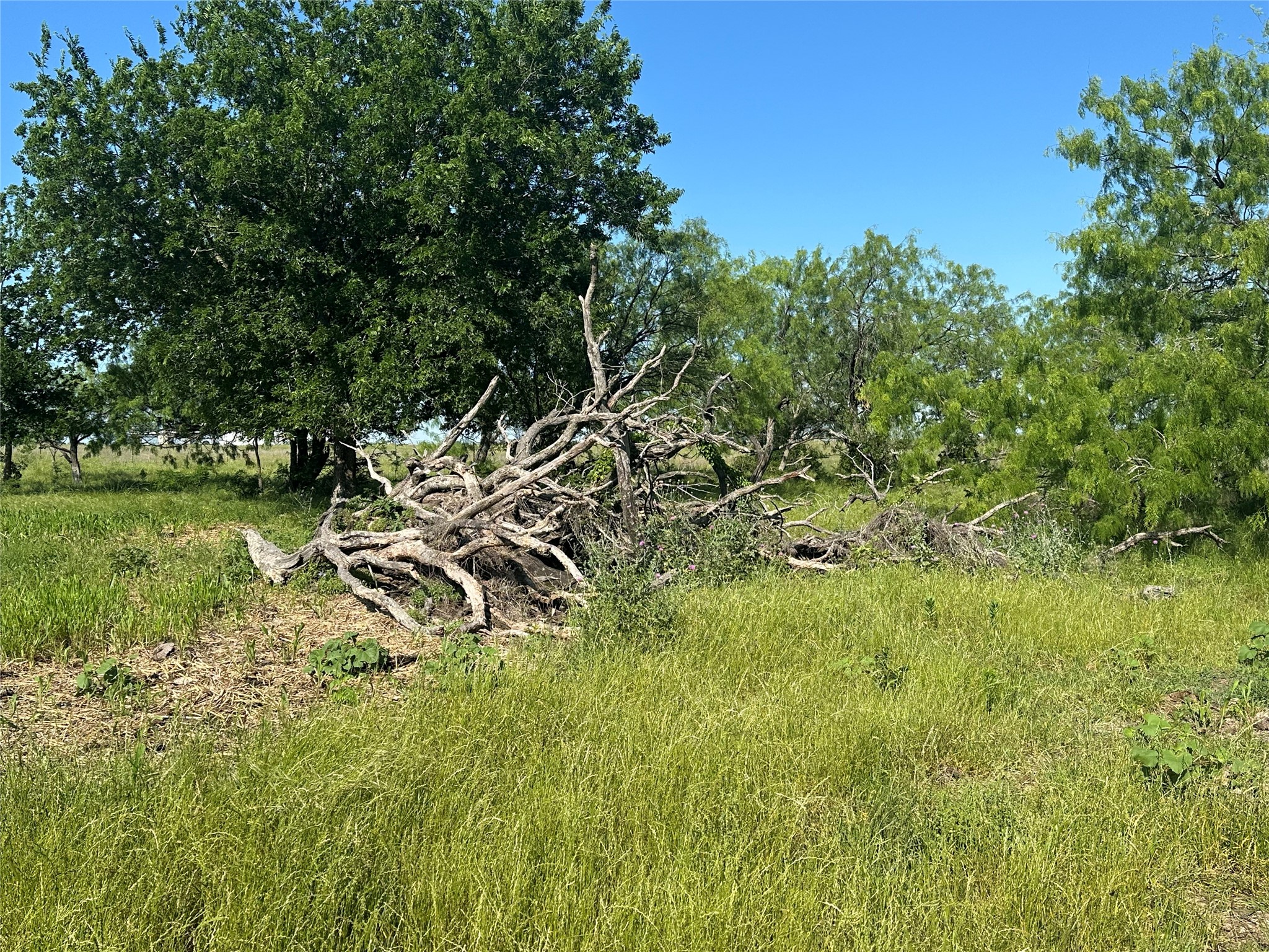 682 Somers Axtell TX 76624