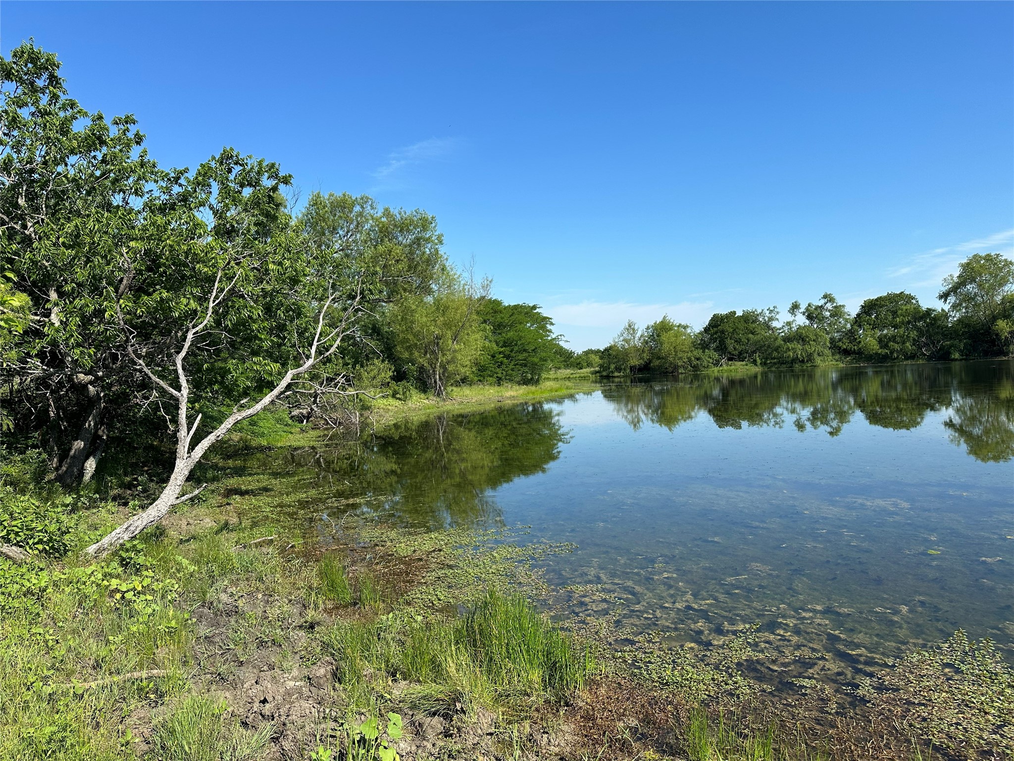682 Somers Axtell TX 76624