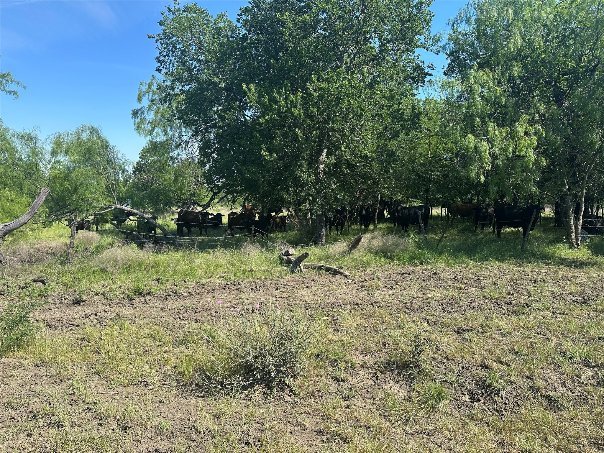 682 Somers Axtell TX 76624