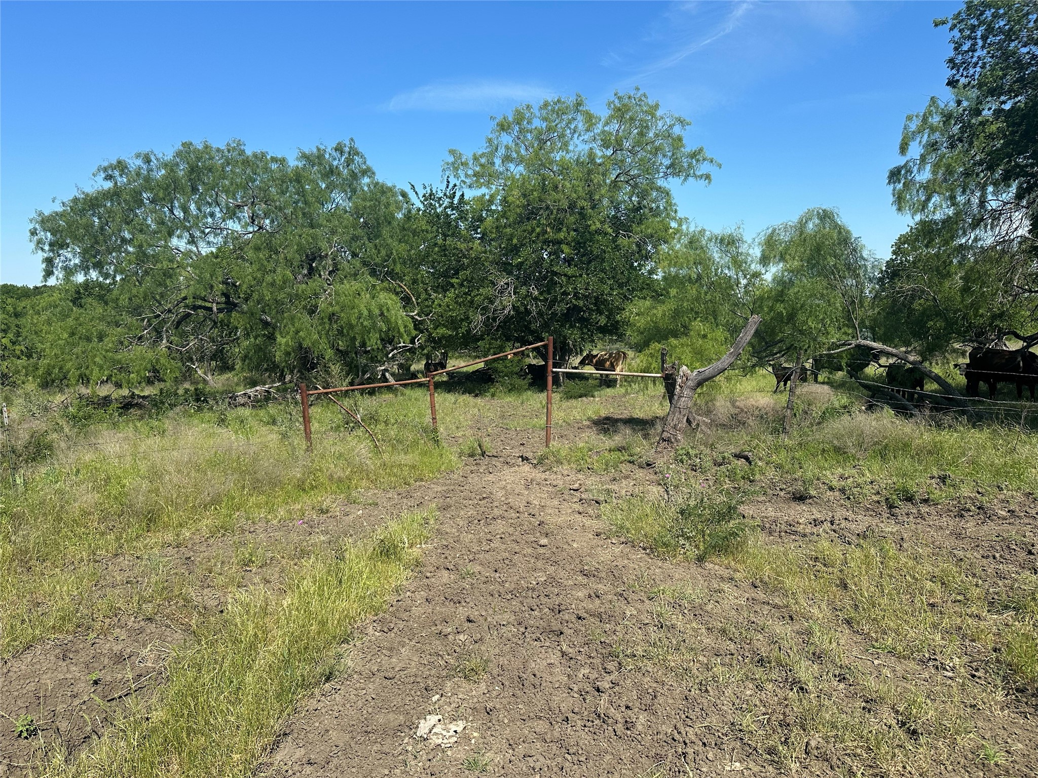 682 Somers Axtell TX 76624