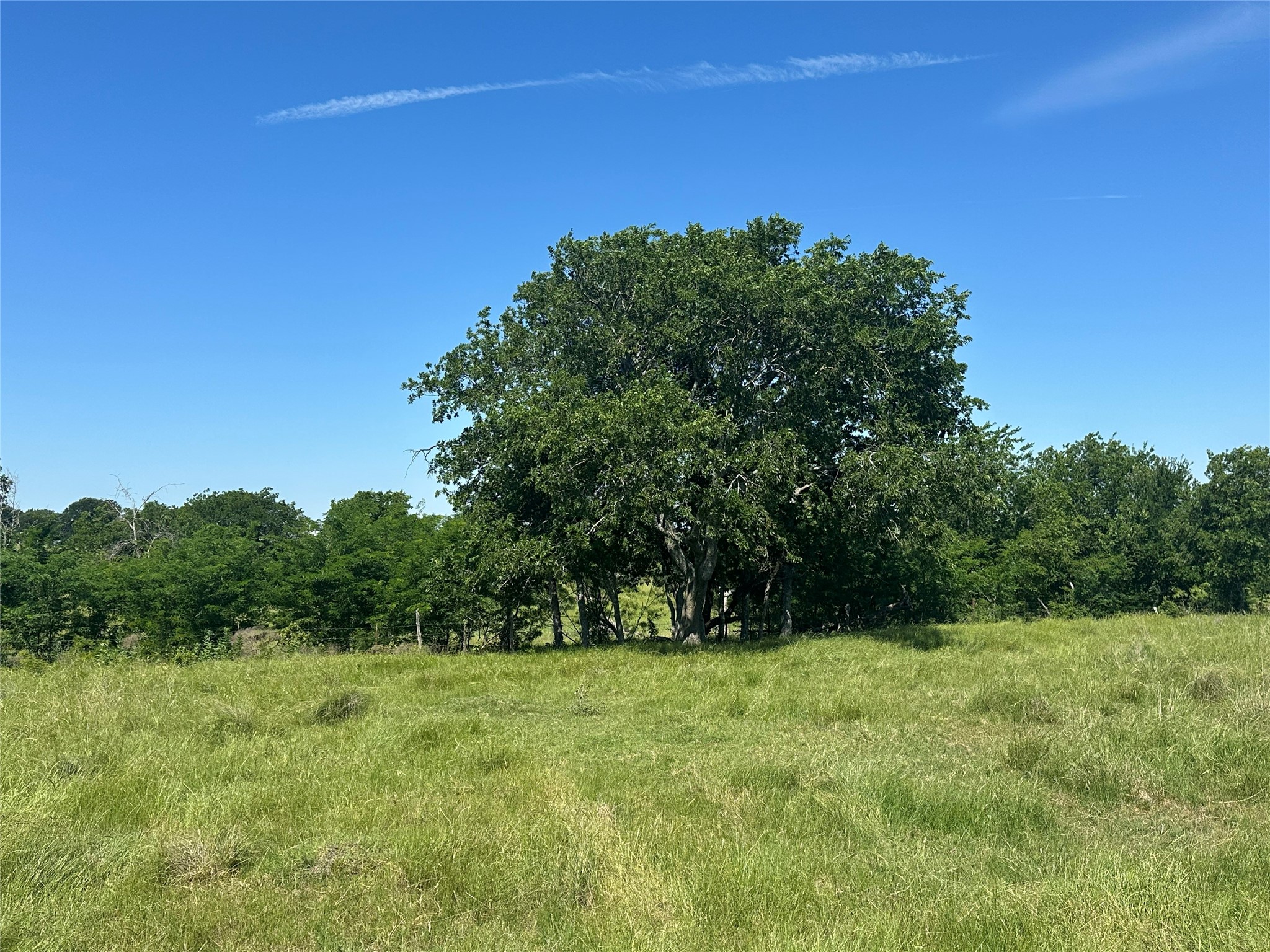 682 Somers Axtell TX 76624