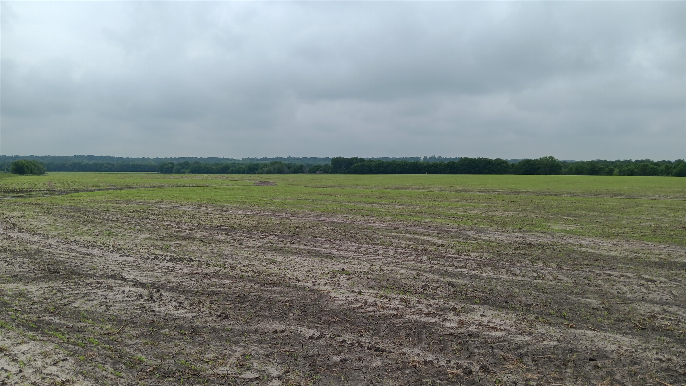 Tbd Cr494 N Chilton TX 76632