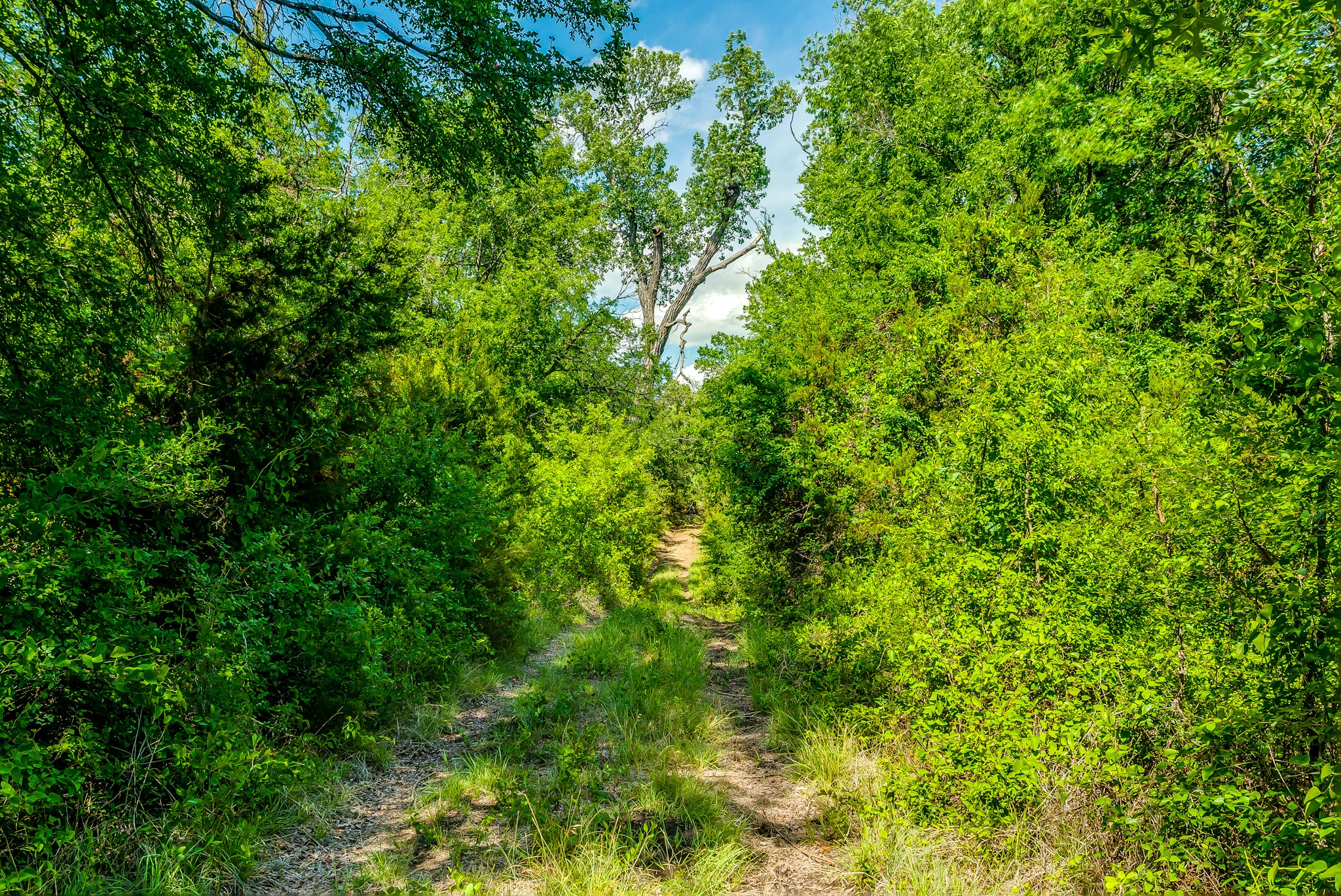 Tbd County Road 175 Stephenville TX 76401
