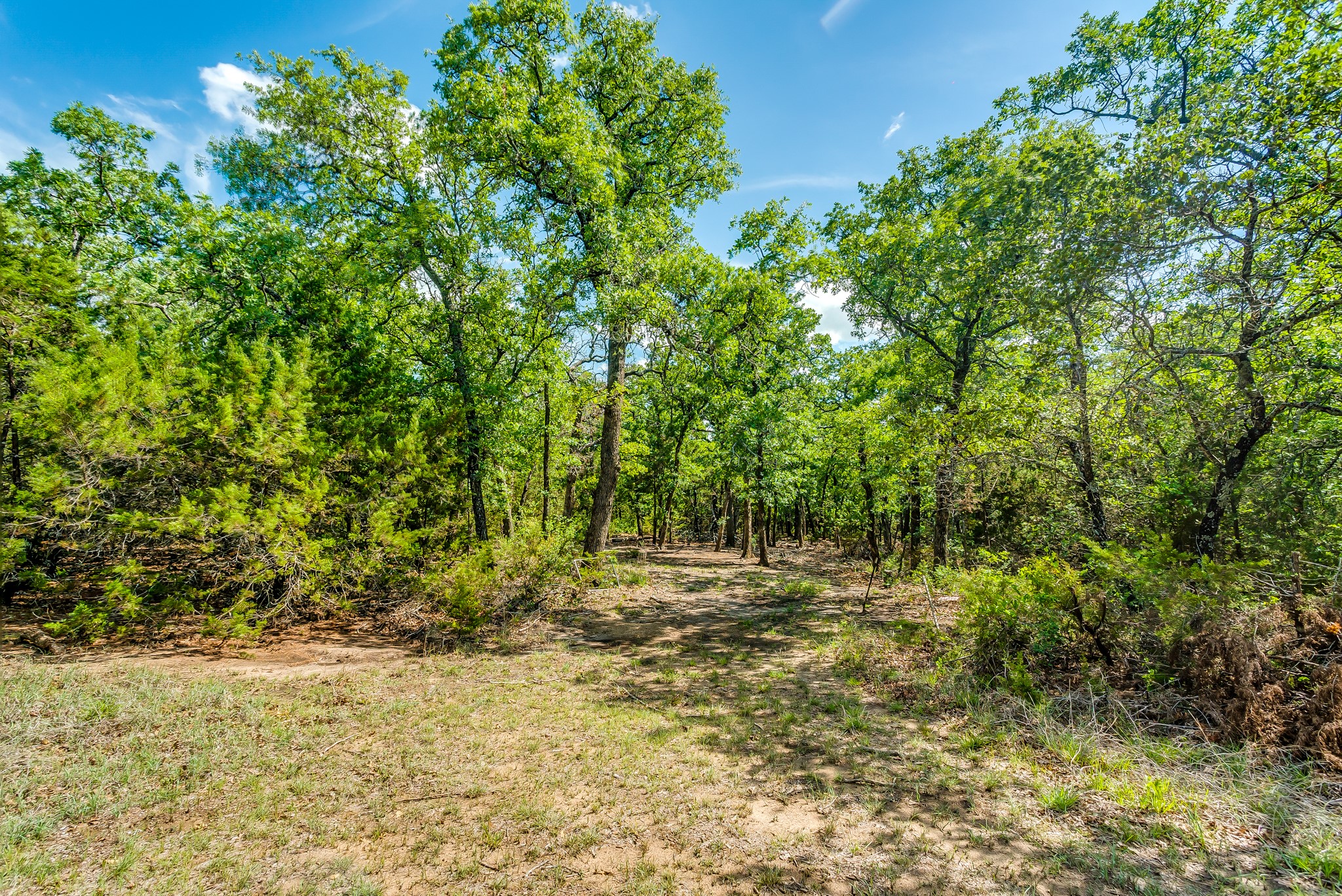 Tbd County Road 175 Stephenville TX 76401