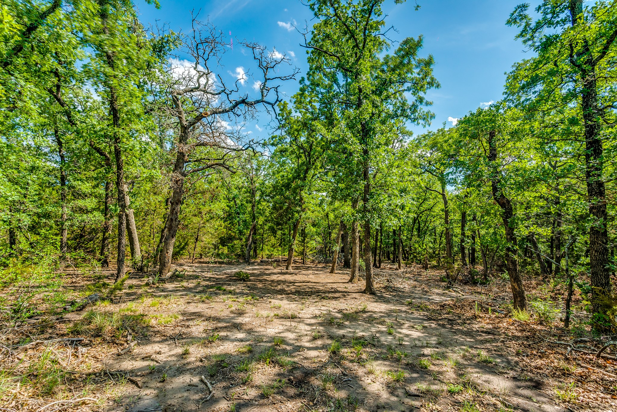 Tbd County Road 175 Stephenville TX 76401