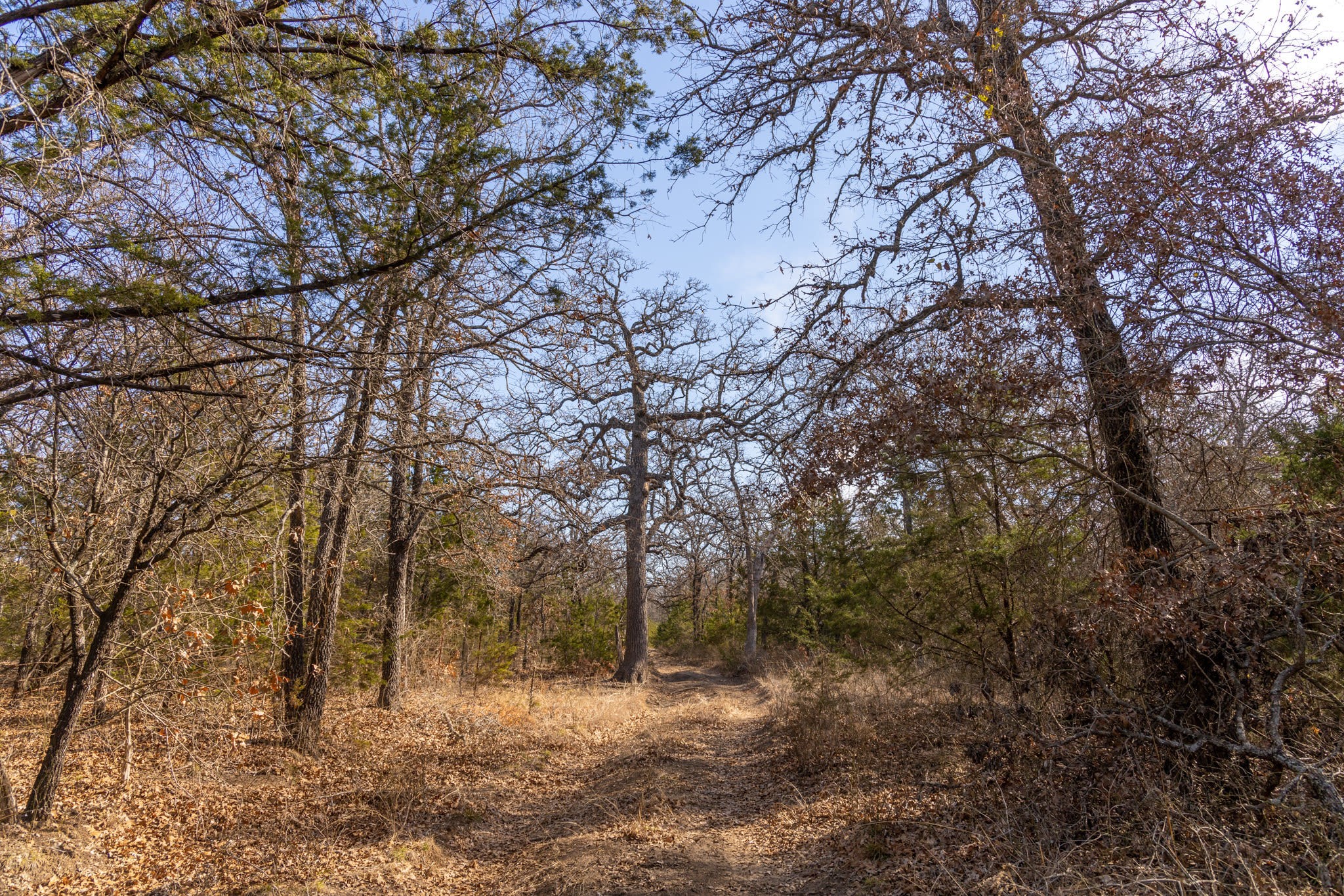 Tbd County Road 175 Stephenville TX 76401