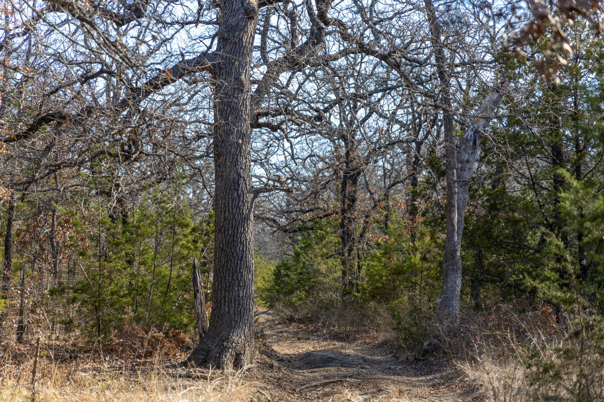 Tbd County Road 175 Stephenville TX 76401