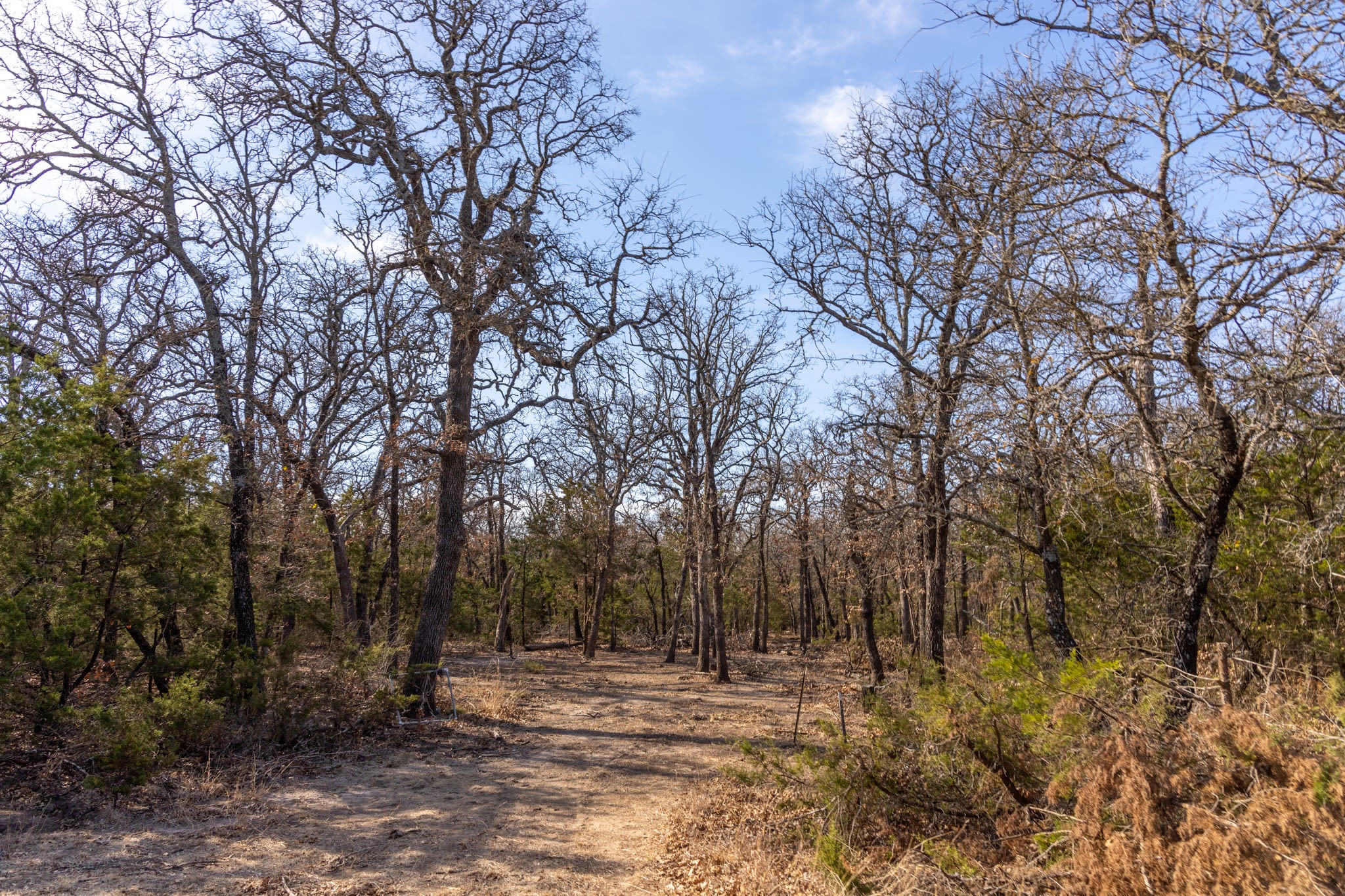 Tbd County Road 175 Stephenville TX 76401
