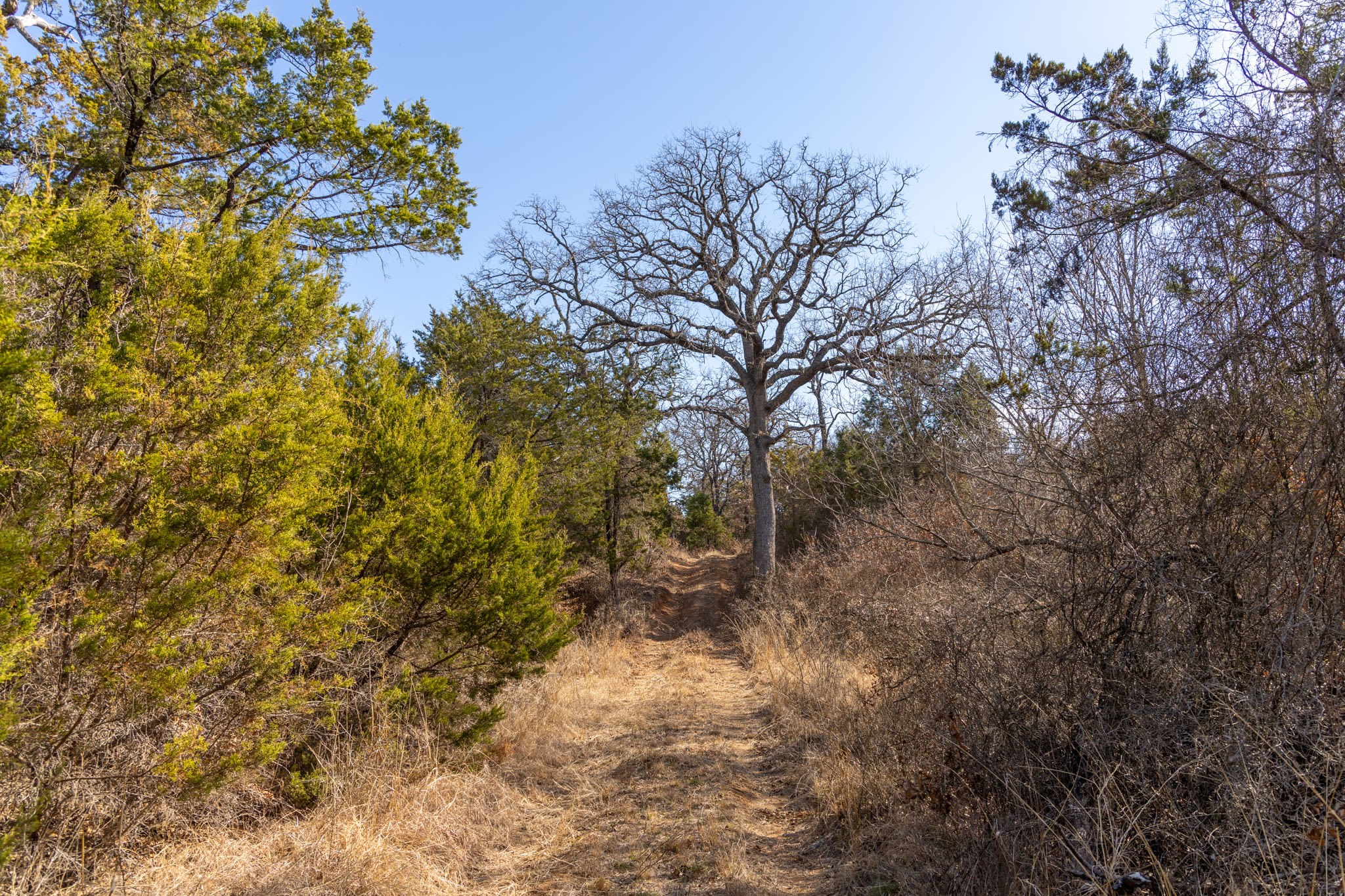 Tbd County Road 175 Stephenville TX 76401