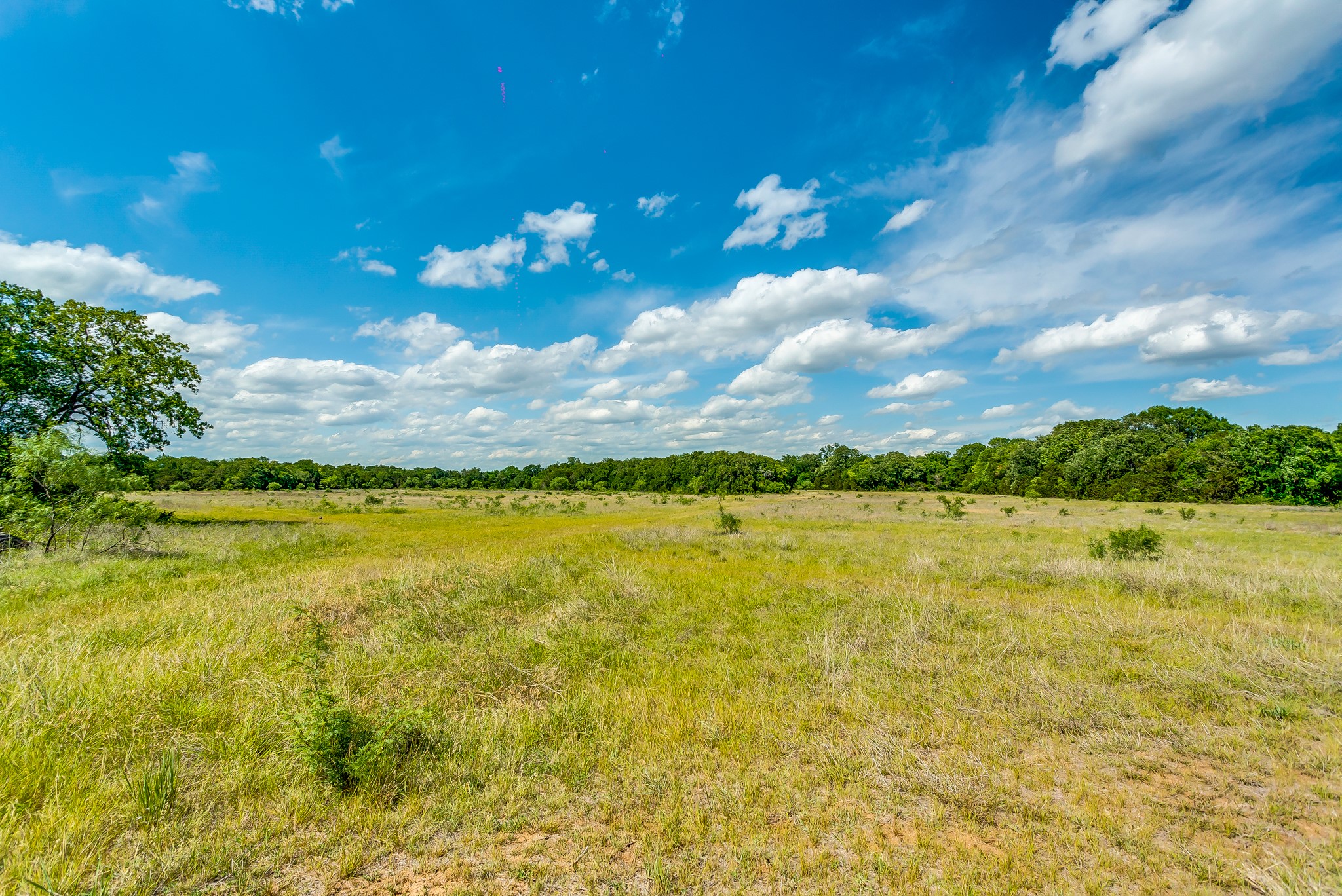 Tbd County Road 175 Stephenville TX 76401