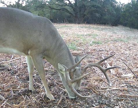 Tbd Fm 708a Clifton TX 76634