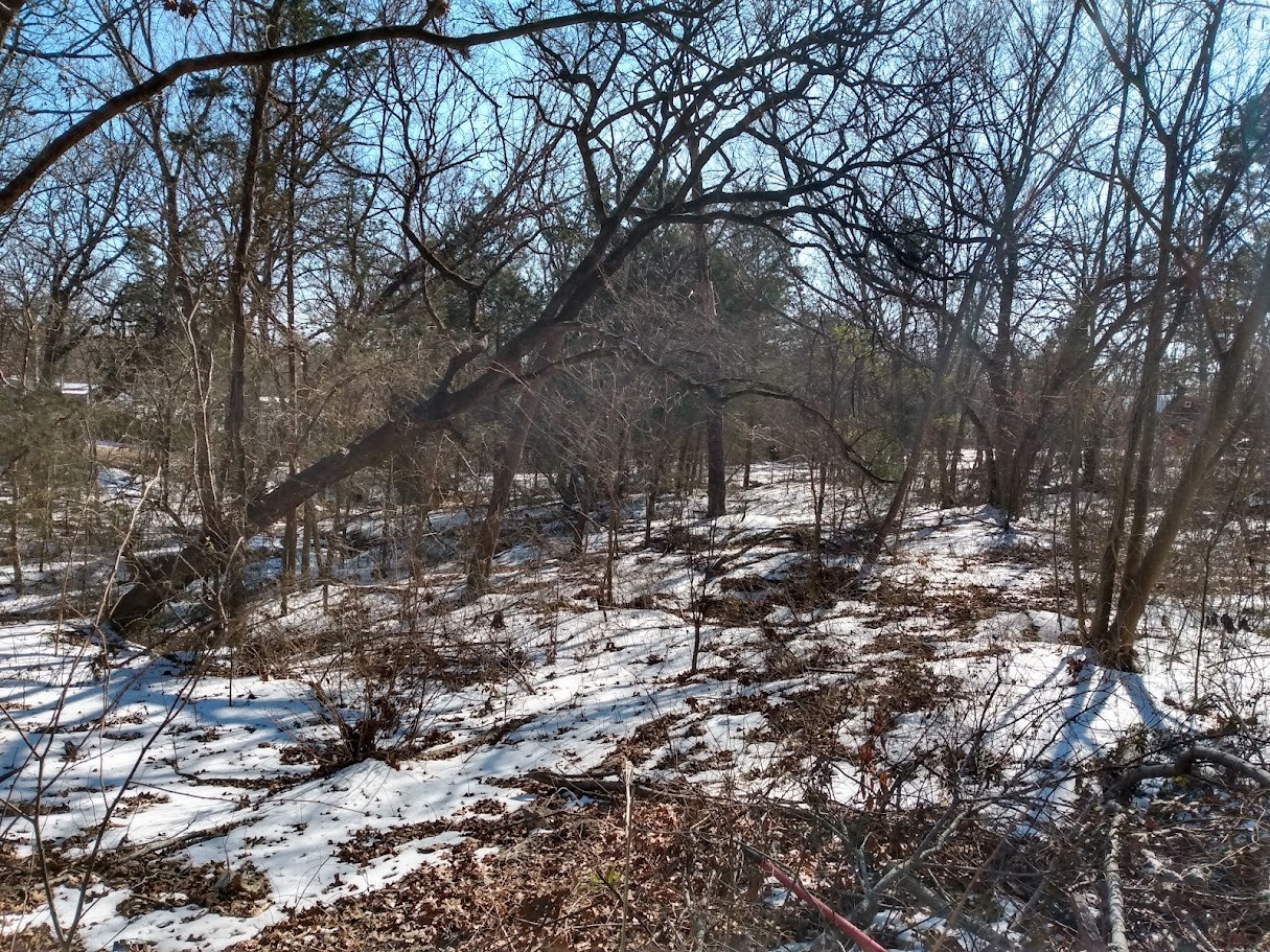 295 James Fannin Road Honey Grove TX 75446