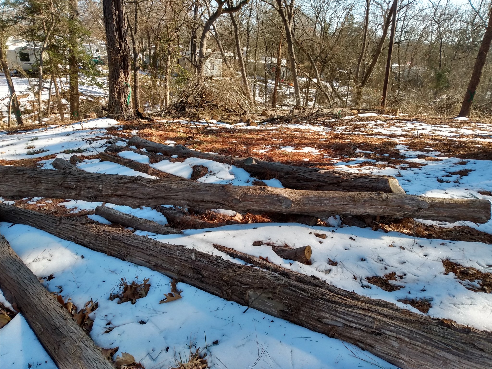 295 James Fannin Road Honey Grove TX 75446