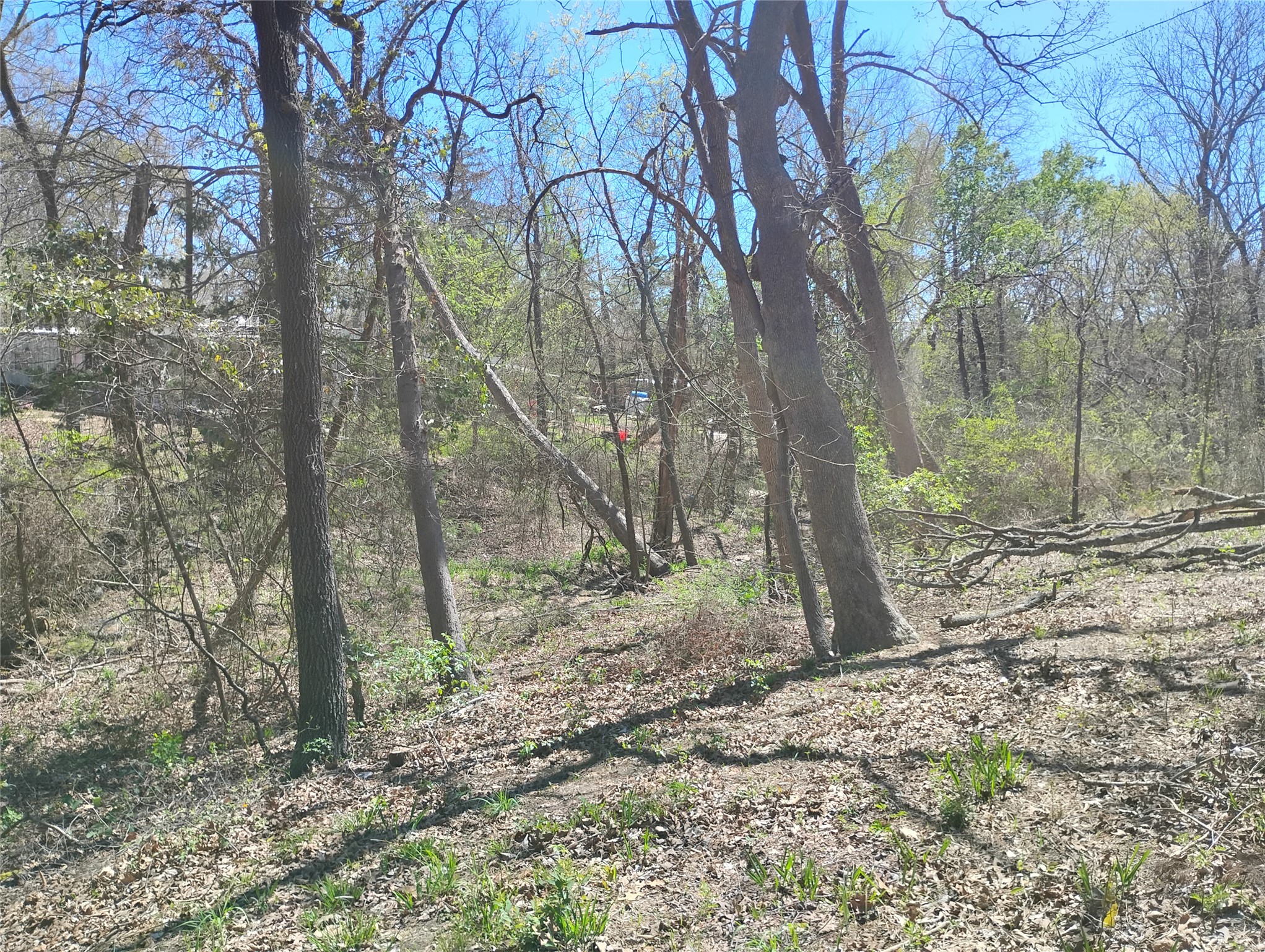 295 James Fannin Road Honey Grove TX 75446