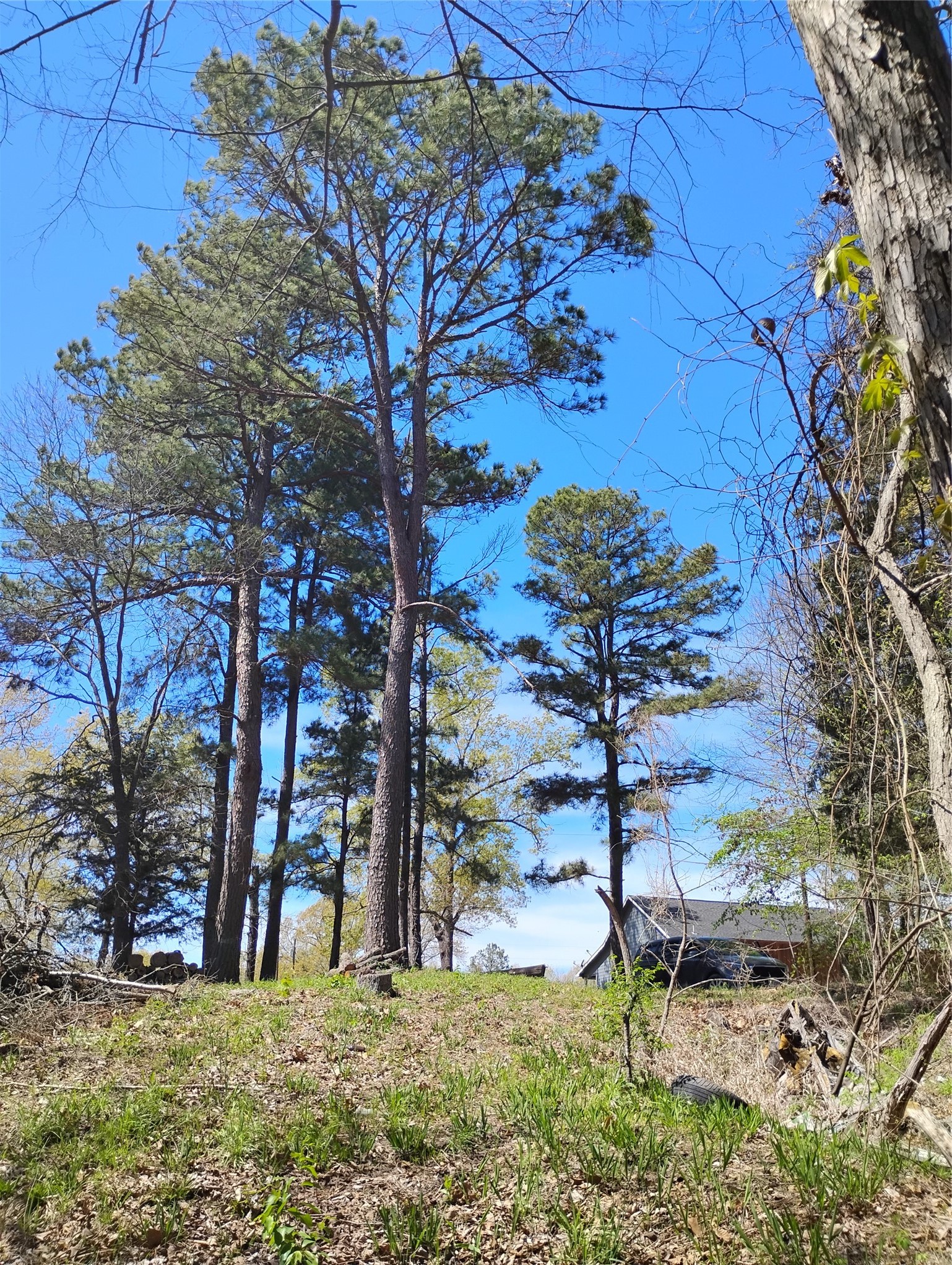 295 James Fannin Road Honey Grove TX 75446