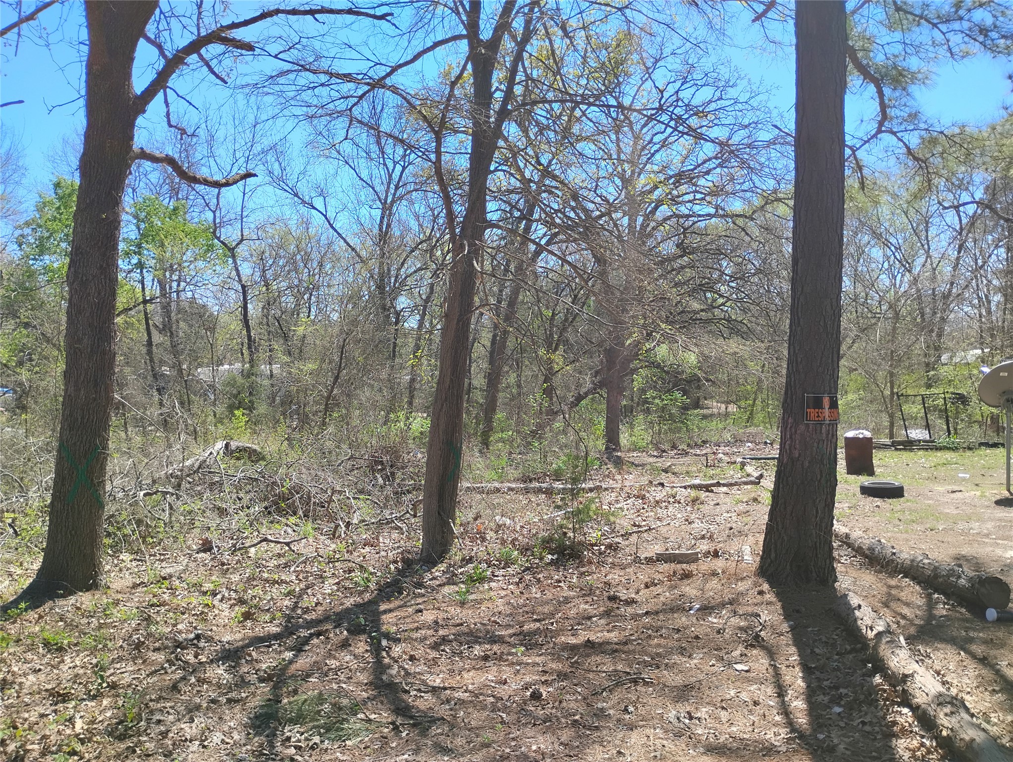 295 James Fannin Road Honey Grove TX 75446