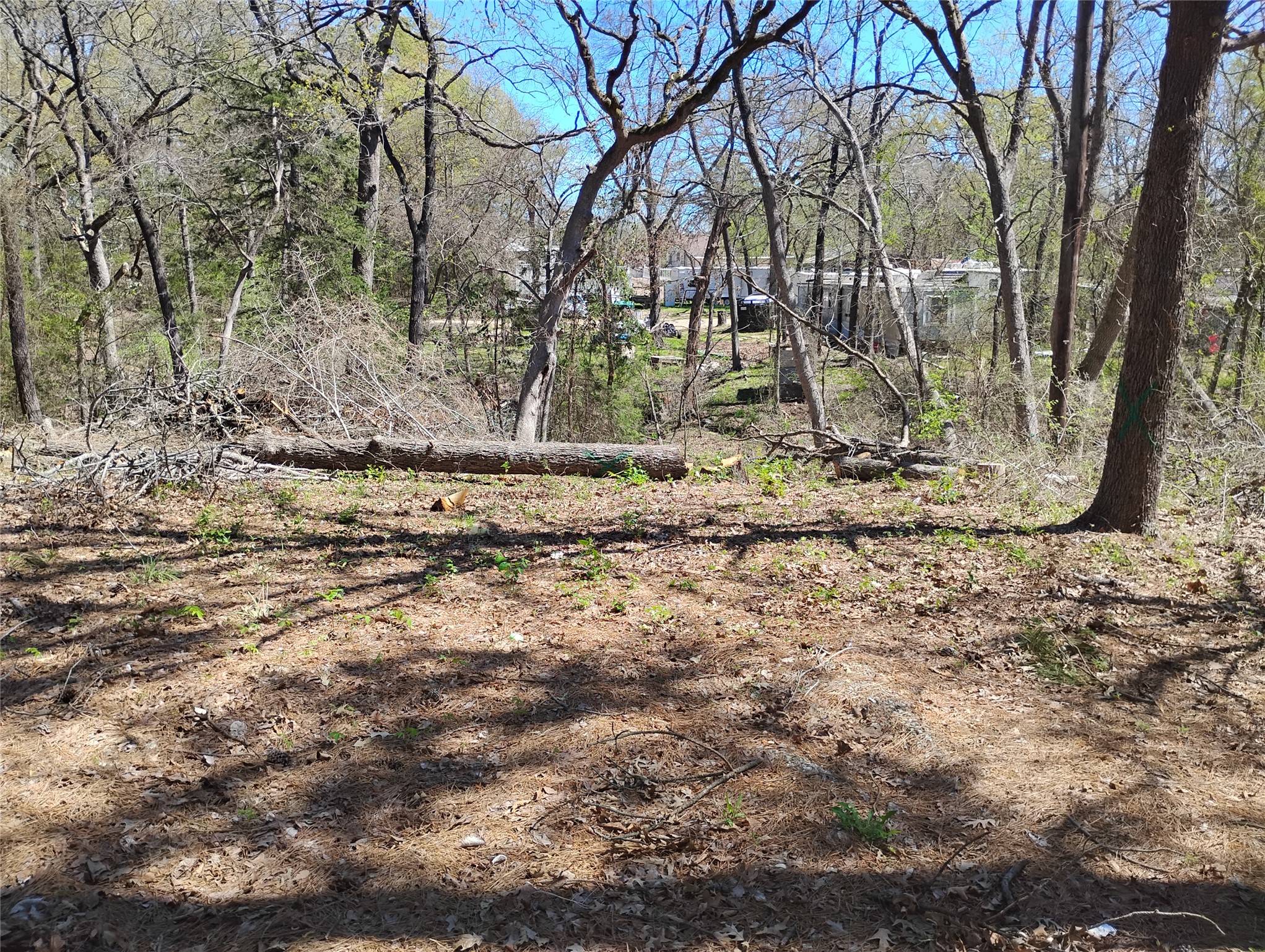 295 James Fannin Road Honey Grove TX 75446