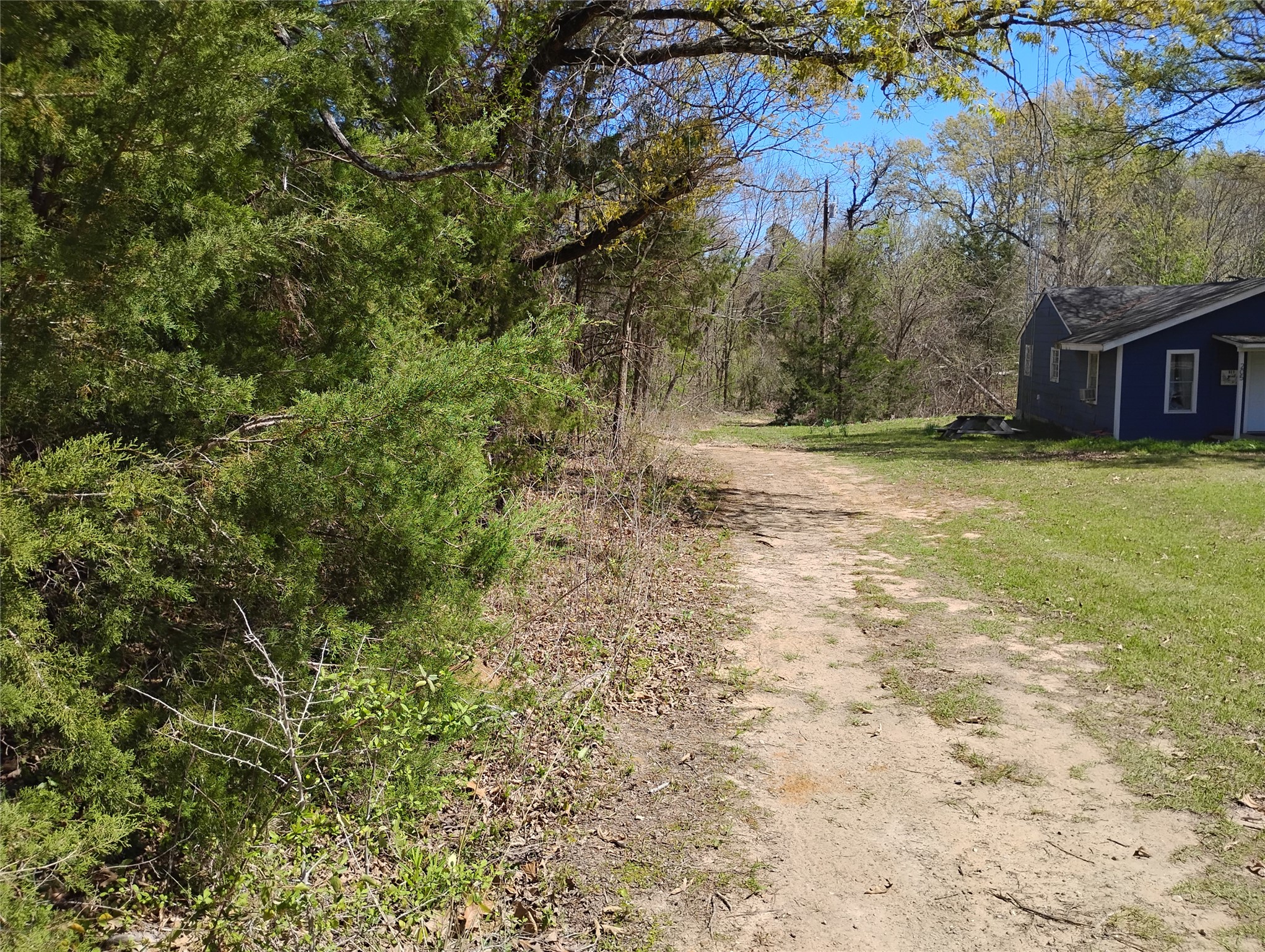 295 James Fannin Road Honey Grove TX 75446