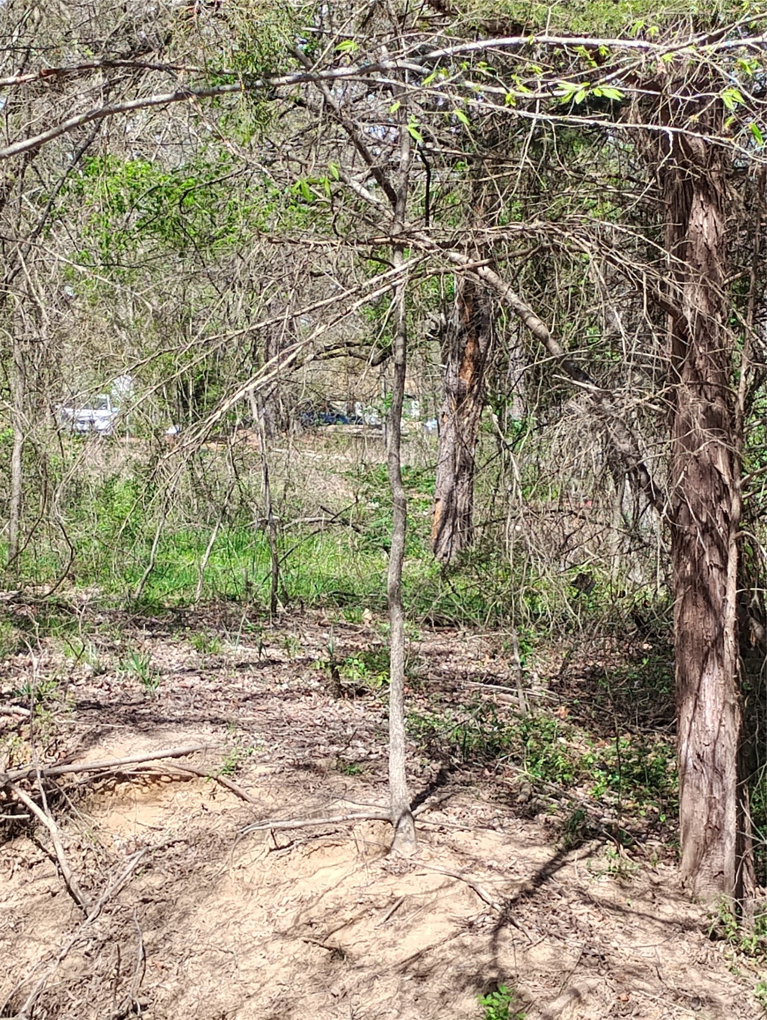 295 James Fannin Road Honey Grove TX 75446