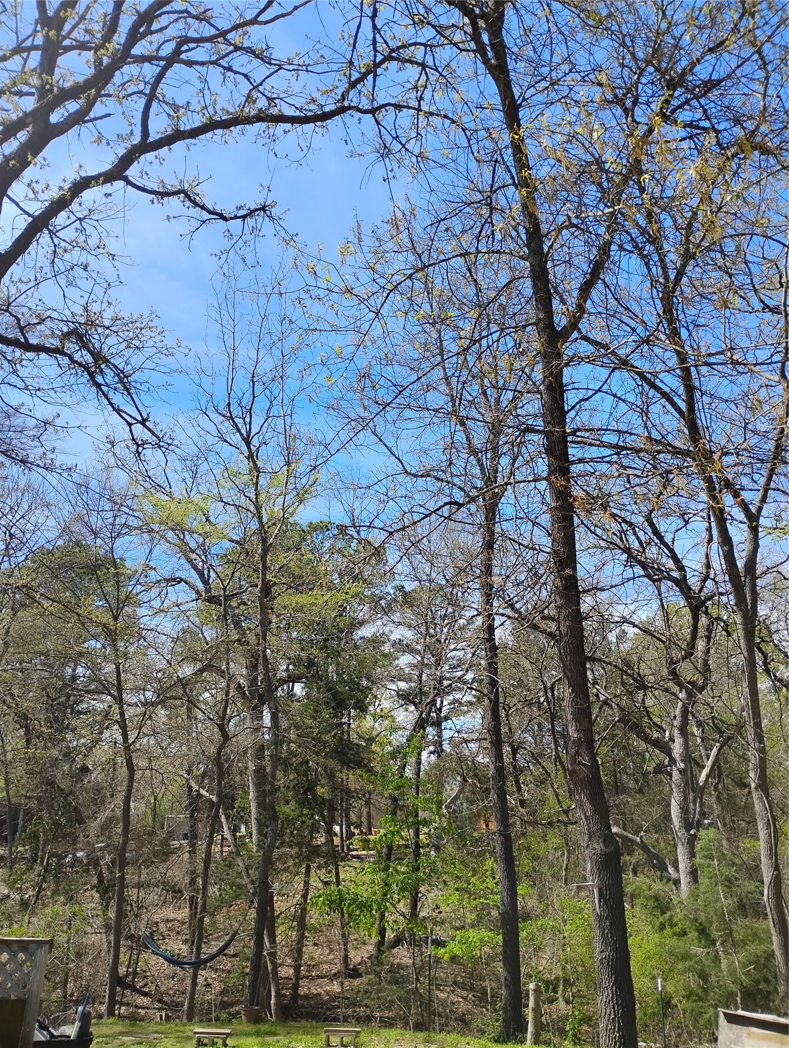 295 James Fannin Road Honey Grove TX 75446