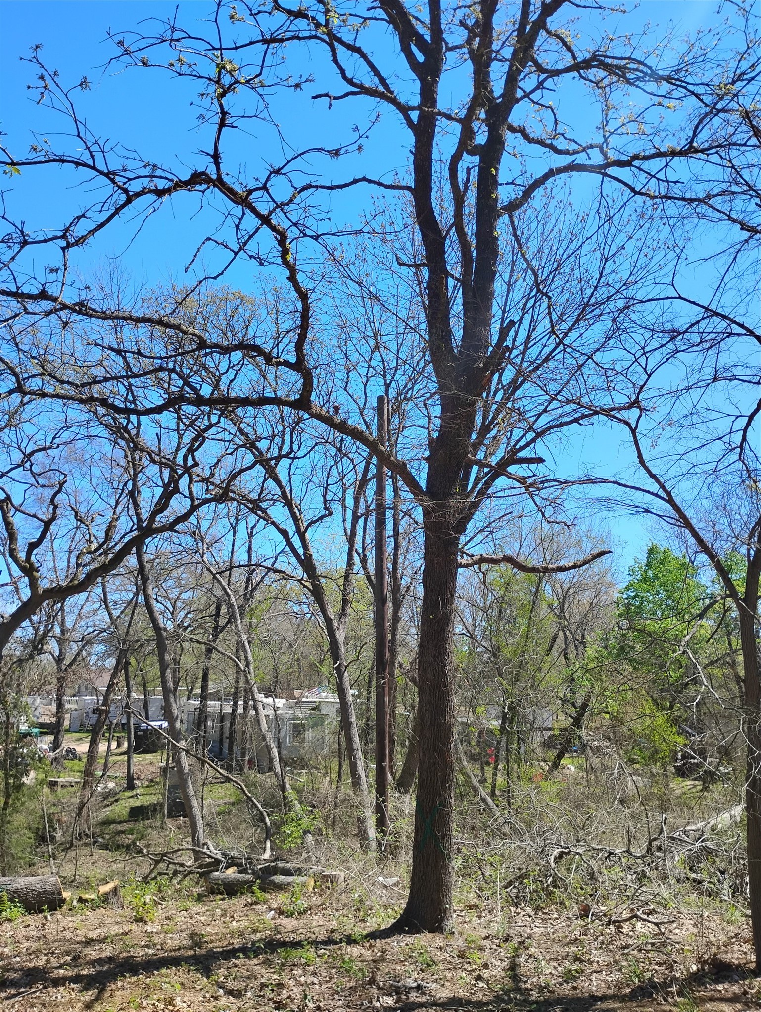 295 James Fannin Road Honey Grove TX 75446