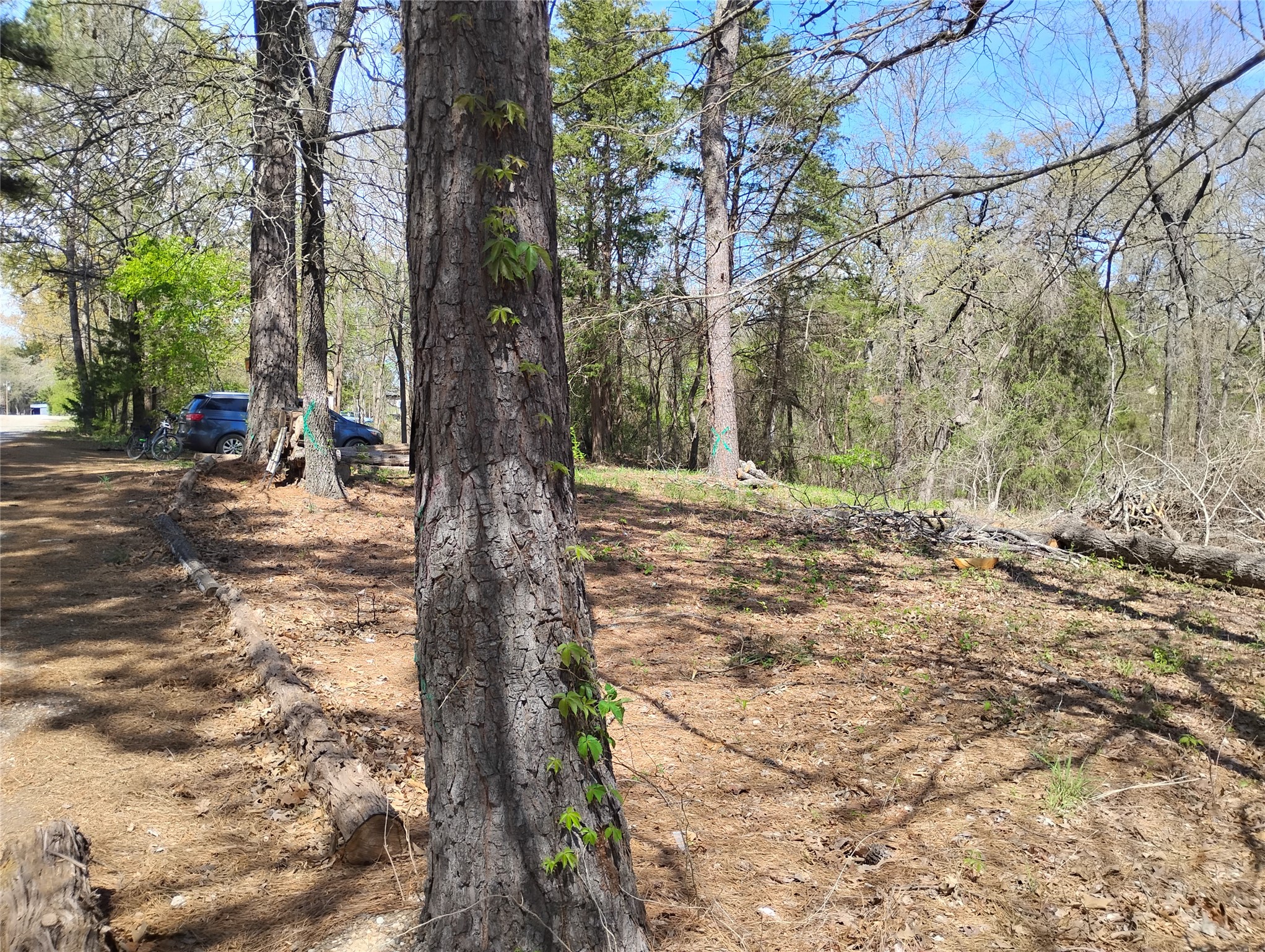 295 James Fannin Road Honey Grove TX 75446