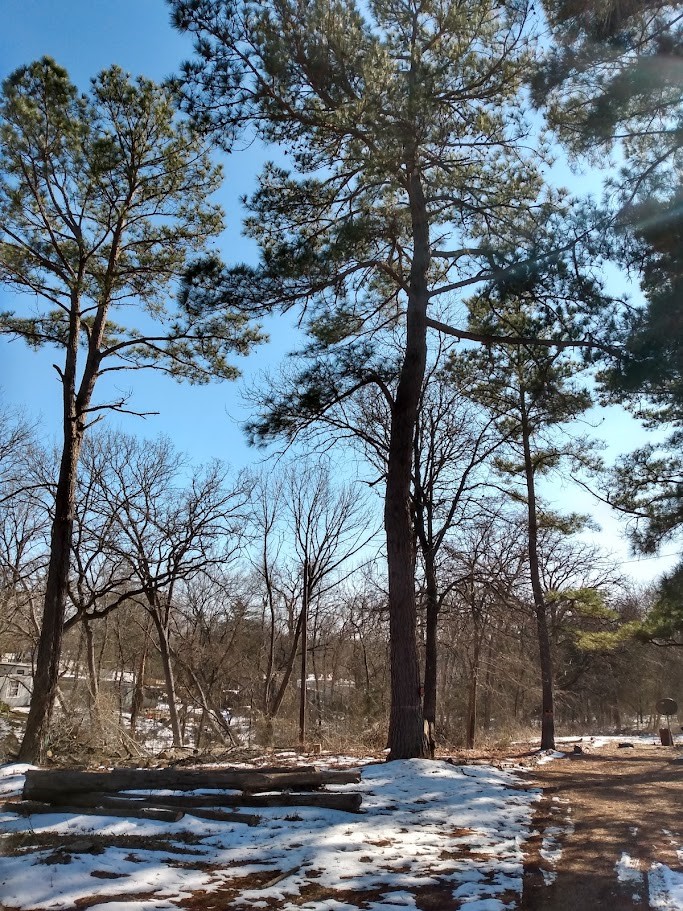 295 James Fannin Road Honey Grove TX 75446
