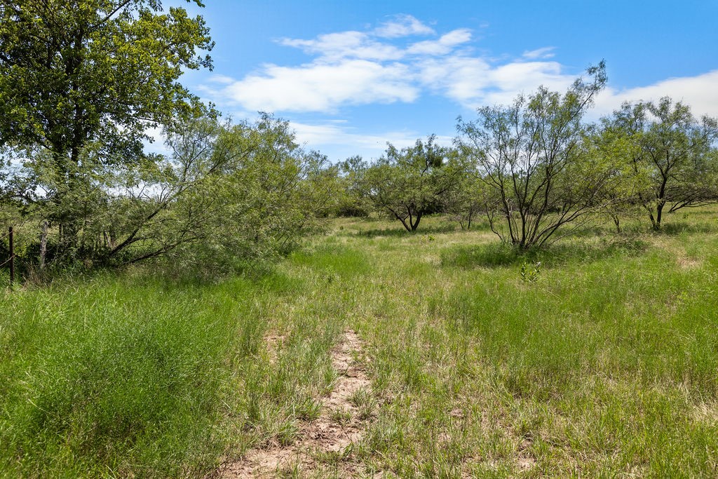 000 Cr 539 Hico TX 76457