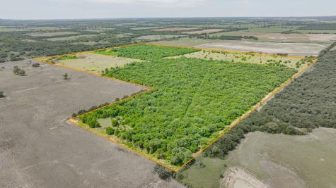 0000 County Road 380 Rising Star TX 76471