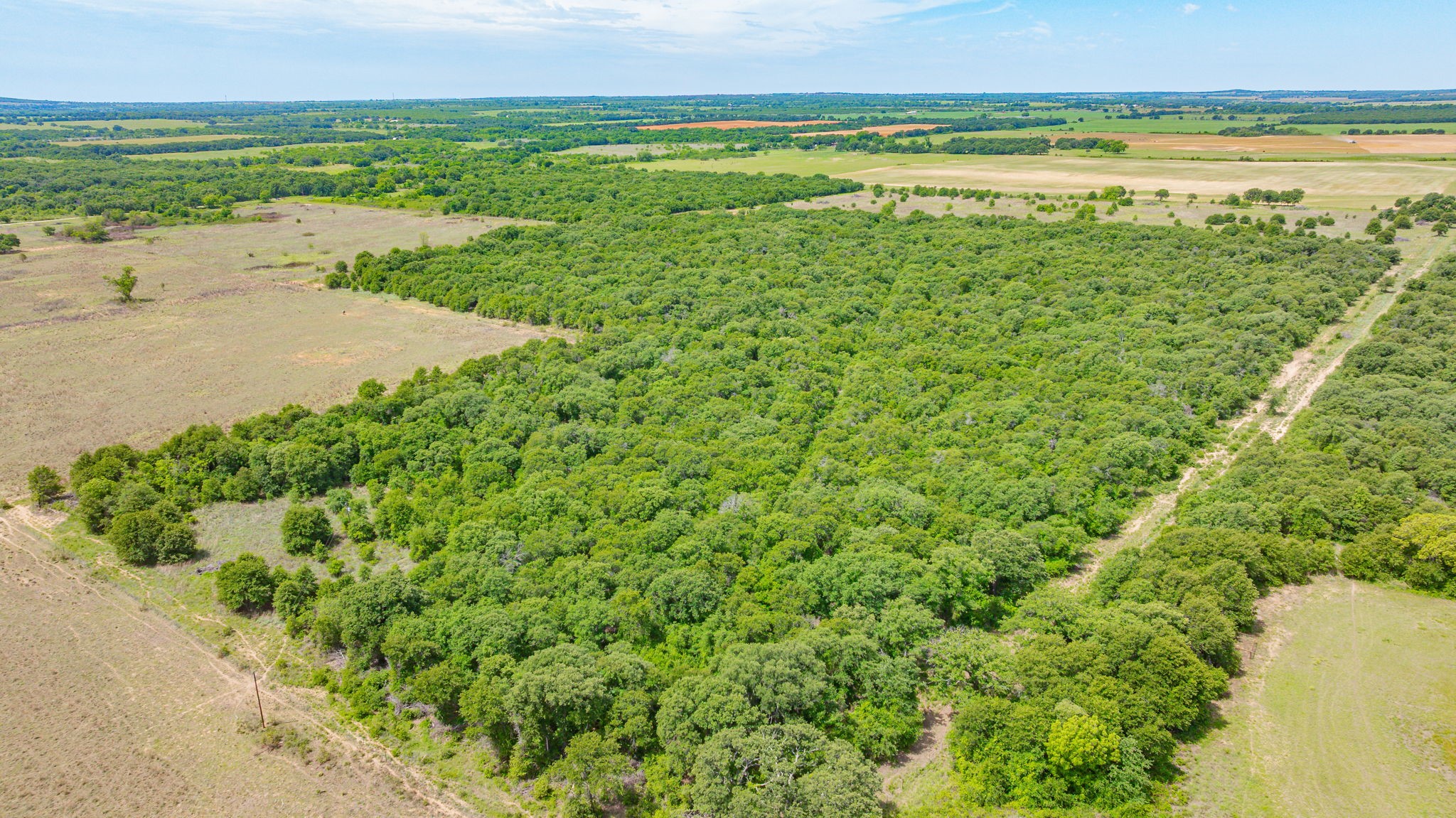 0000 County Road 380 Rising Star TX 76471