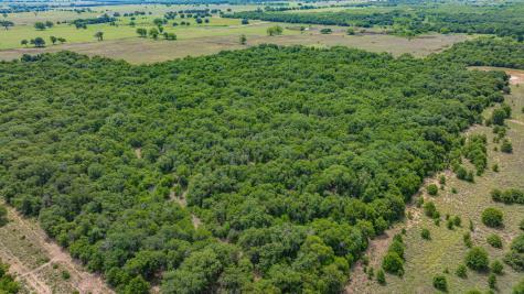 0000 County Road 380 Rising Star TX 76471
