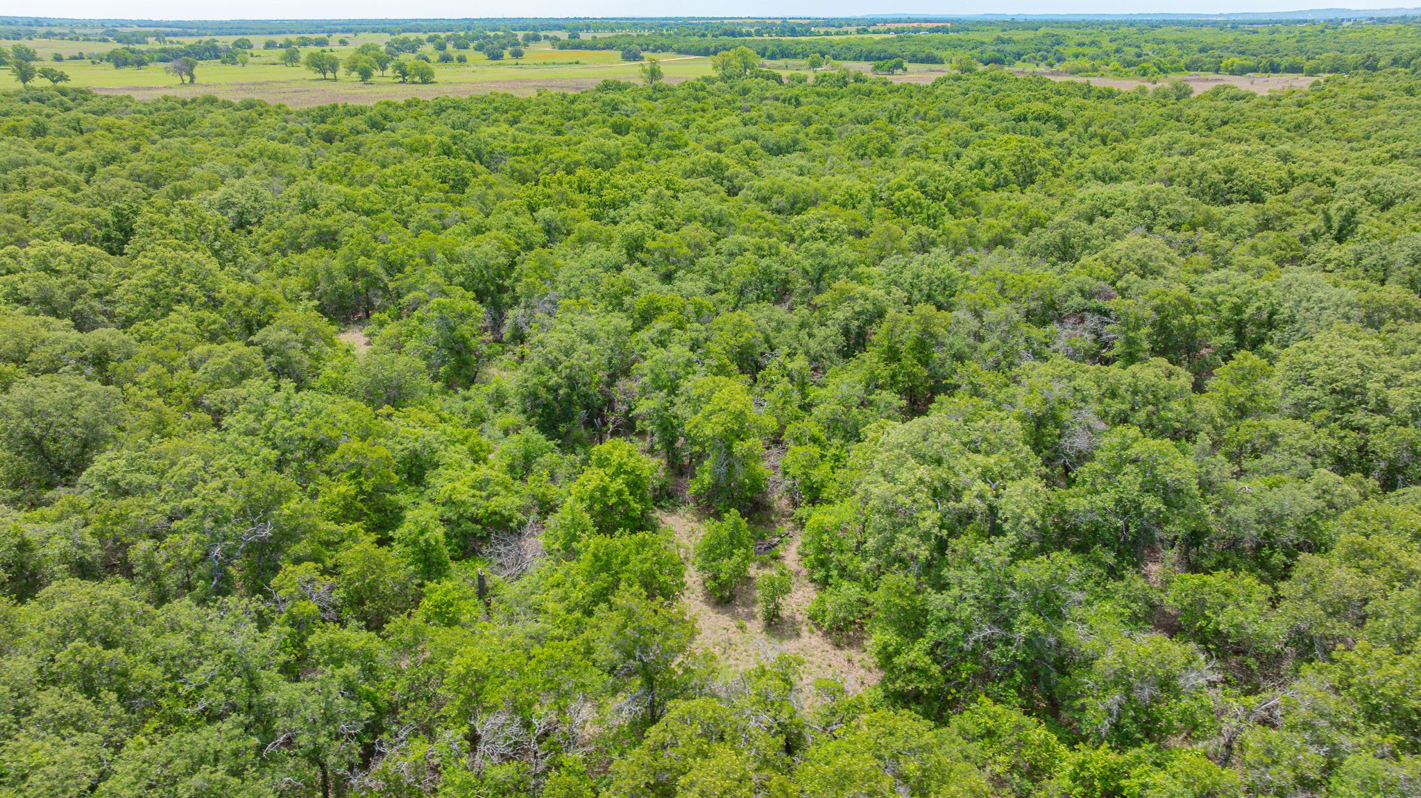 0000 County Road 380 Rising Star TX 76471