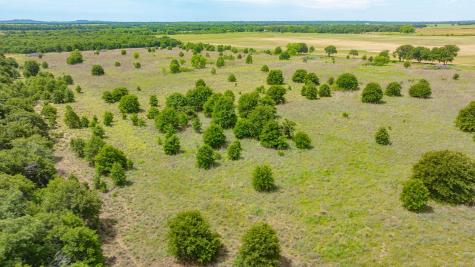 0000 County Road 380 Rising Star TX 76471