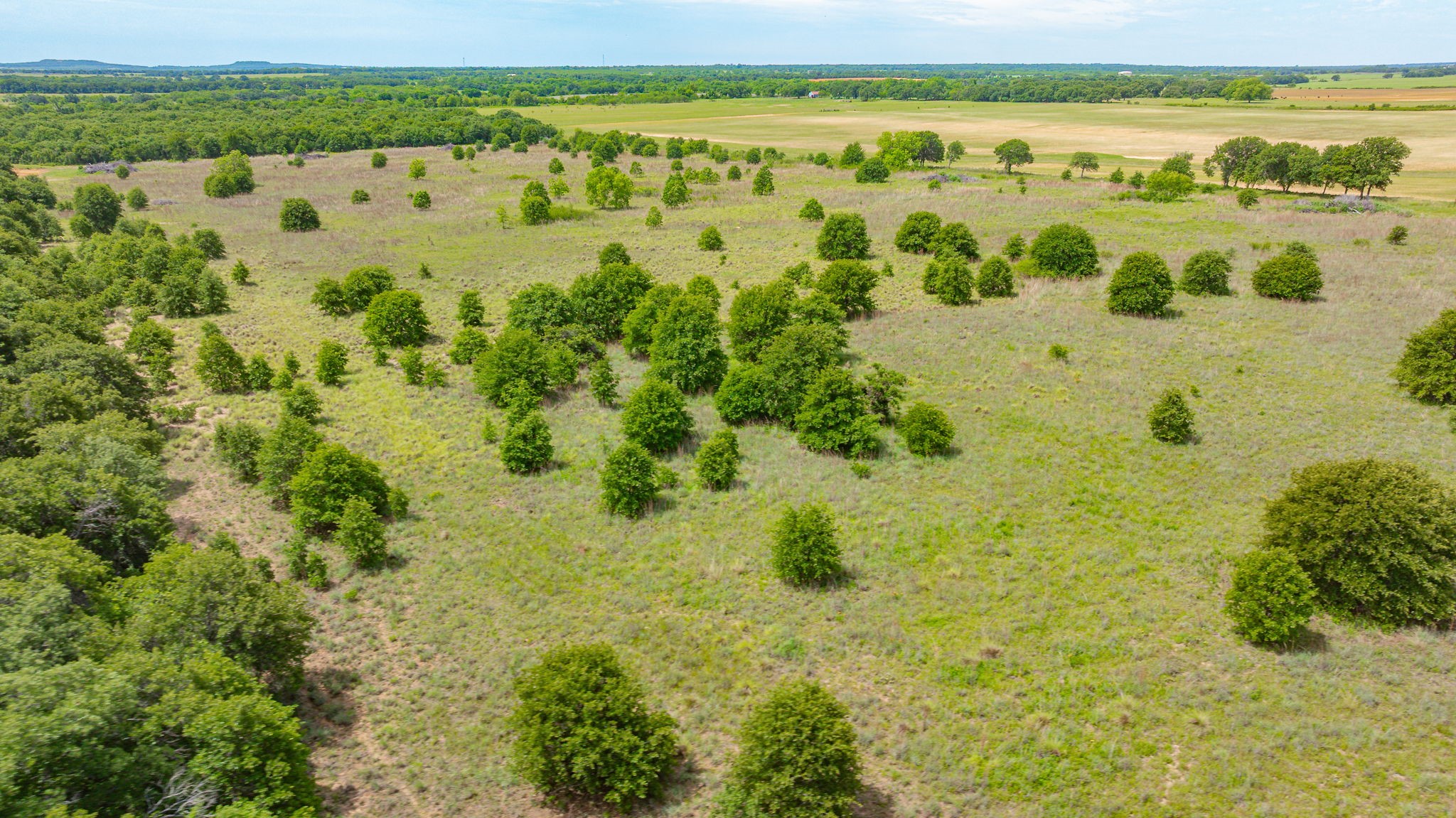 0000 County Road 380 Rising Star TX 76471