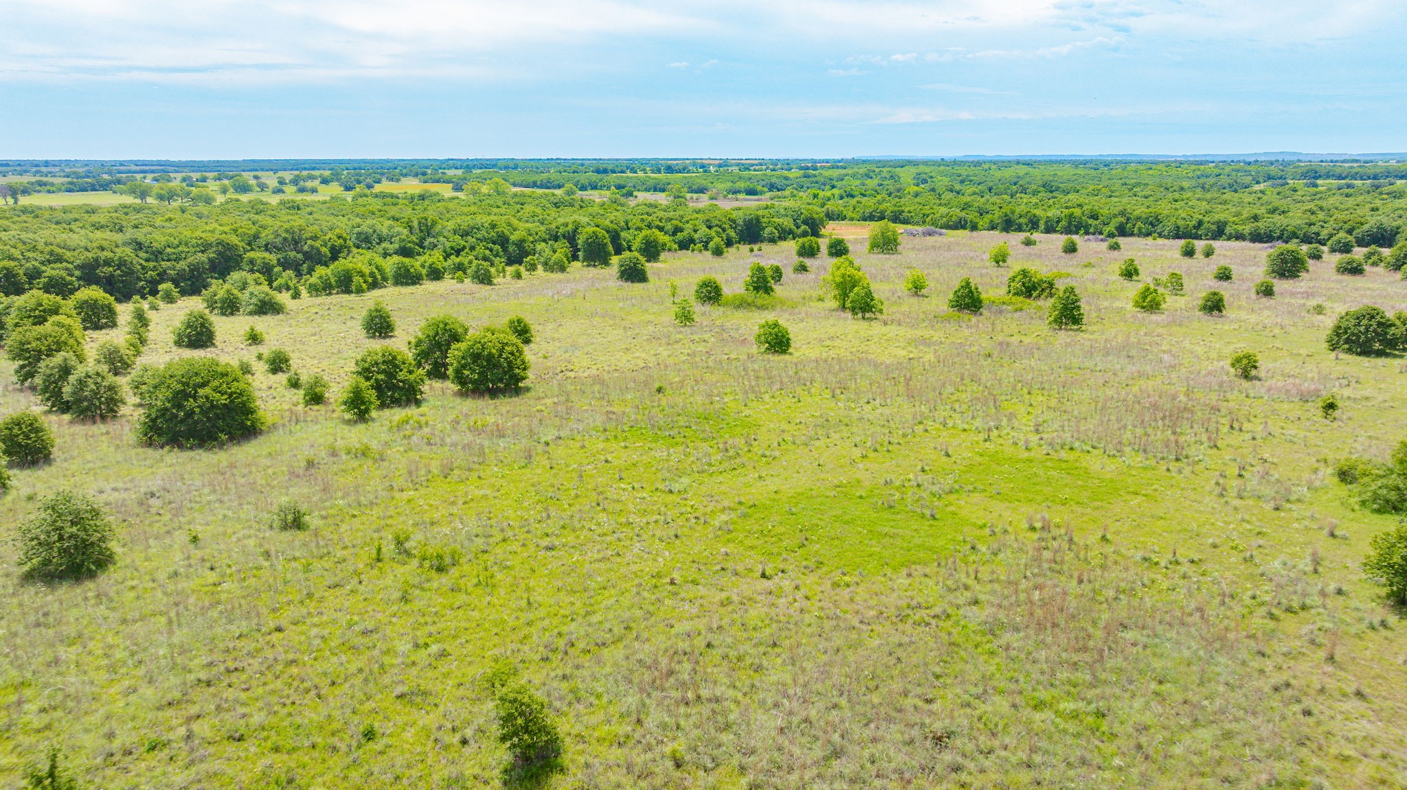 0000 County Road 380 Rising Star TX 76471