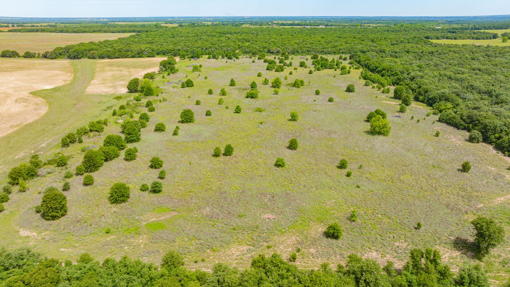 0000 County Road 380 Rising Star TX 76471