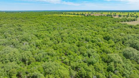 0000 County Road 380 Rising Star TX 76471