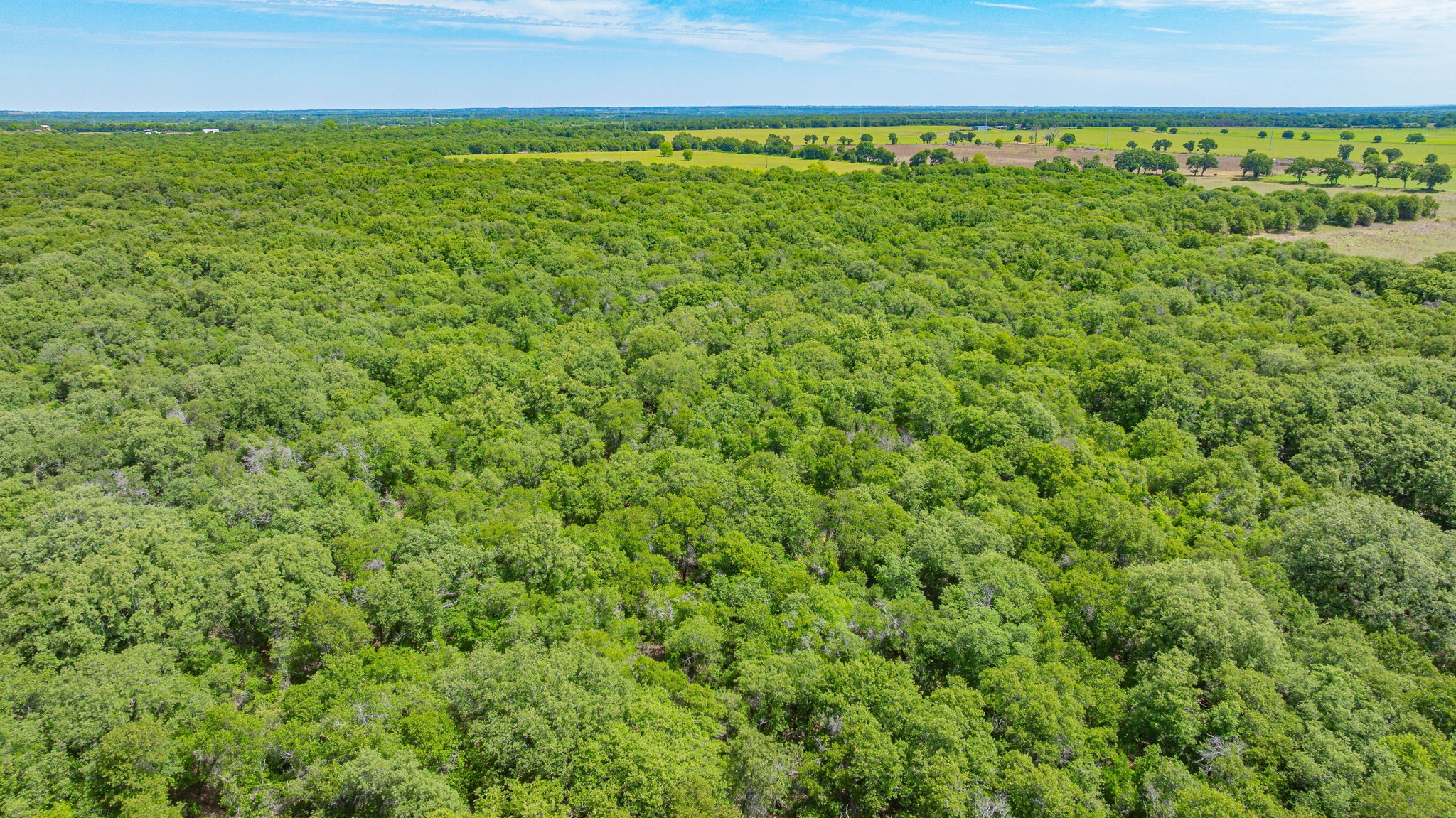 0000 County Road 380 Rising Star TX 76471