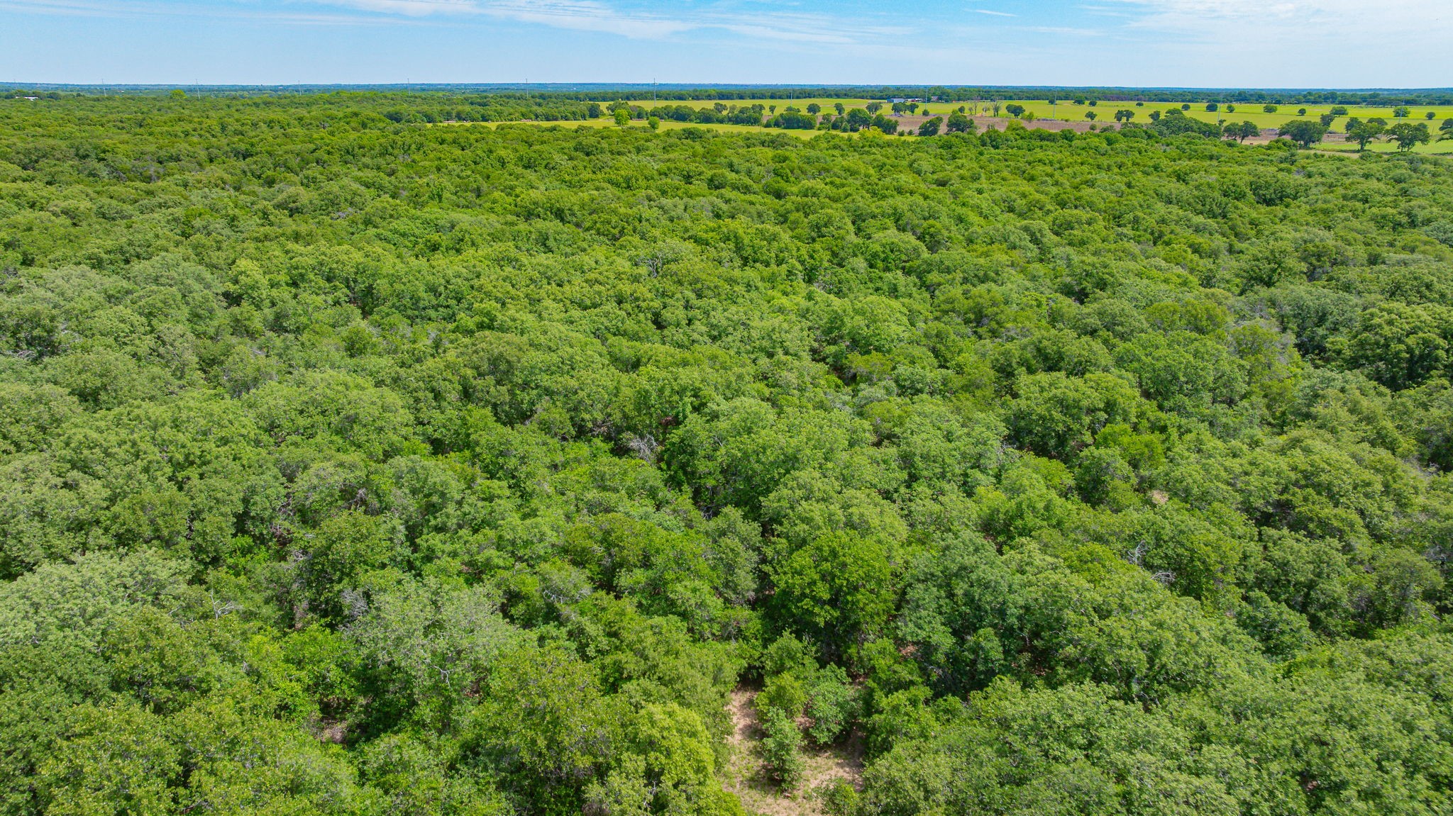 0000 County Road 380 Rising Star TX 76471
