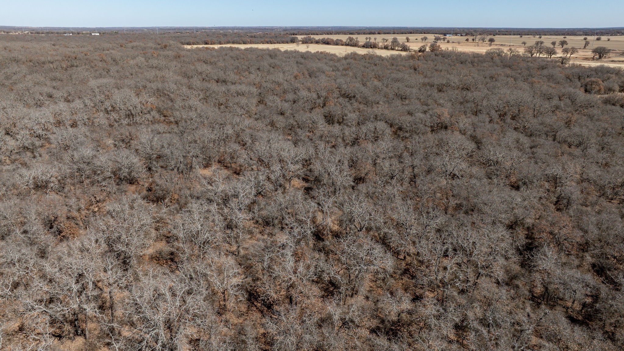 0000 County Road 380 Rising Star TX 76471