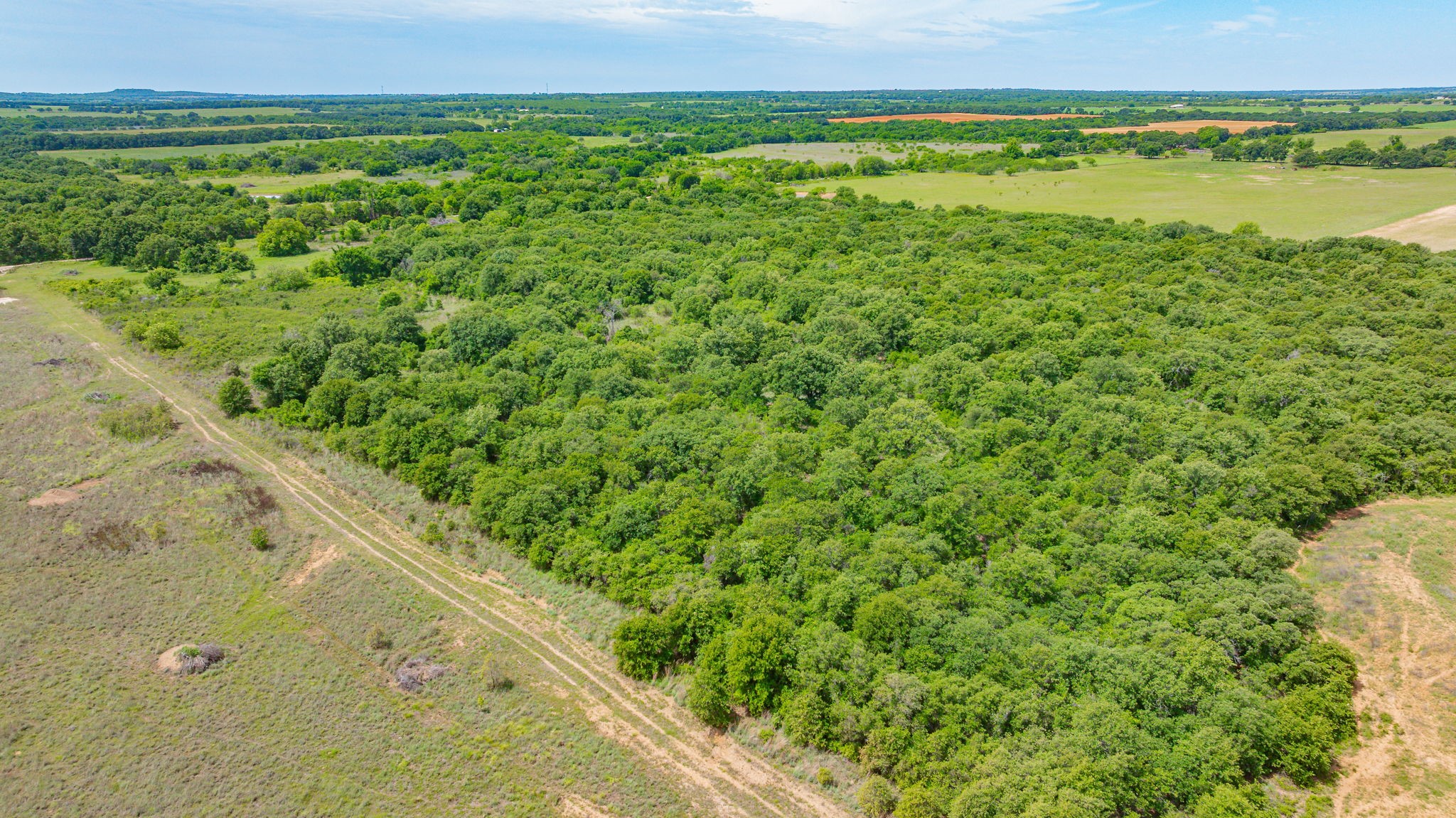 0000 County Road 380 Rising Star TX 76471
