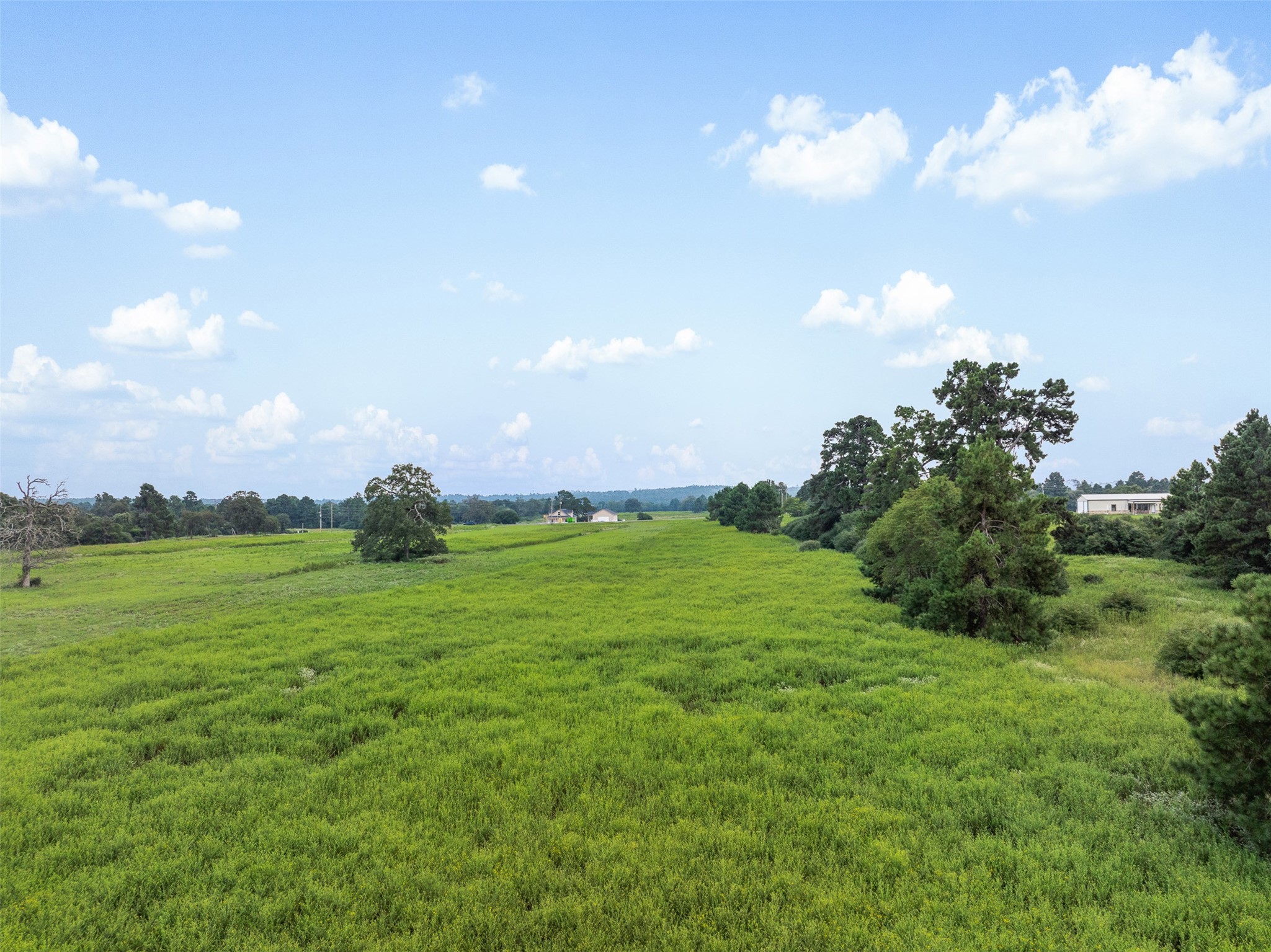 Trail 45 Pr 1315 Centerville TX 75833