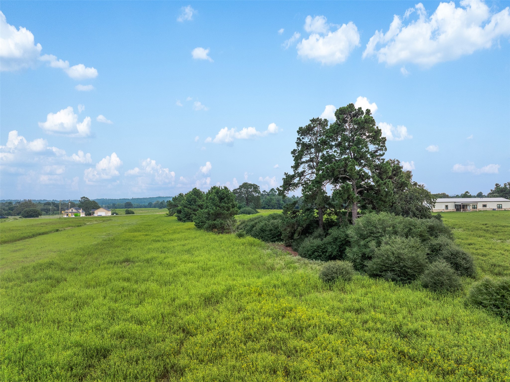 Trail 45 Pr 1315 Centerville TX 75833