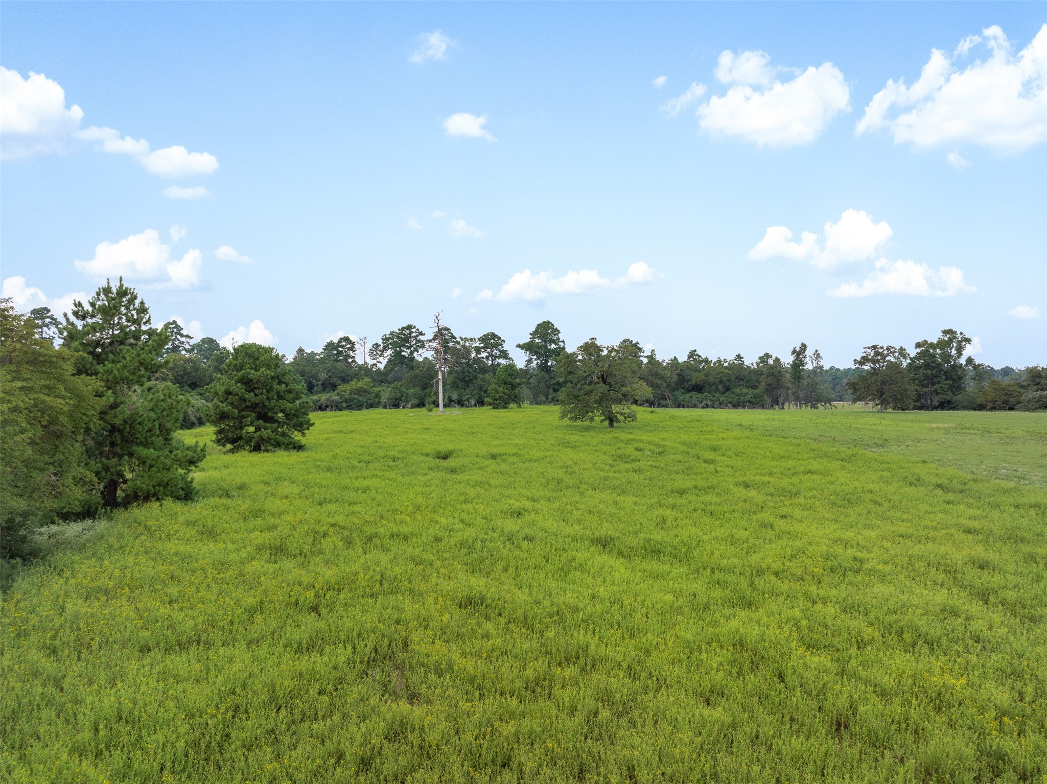 Trail 45 Pr 1315 Centerville TX 75833
