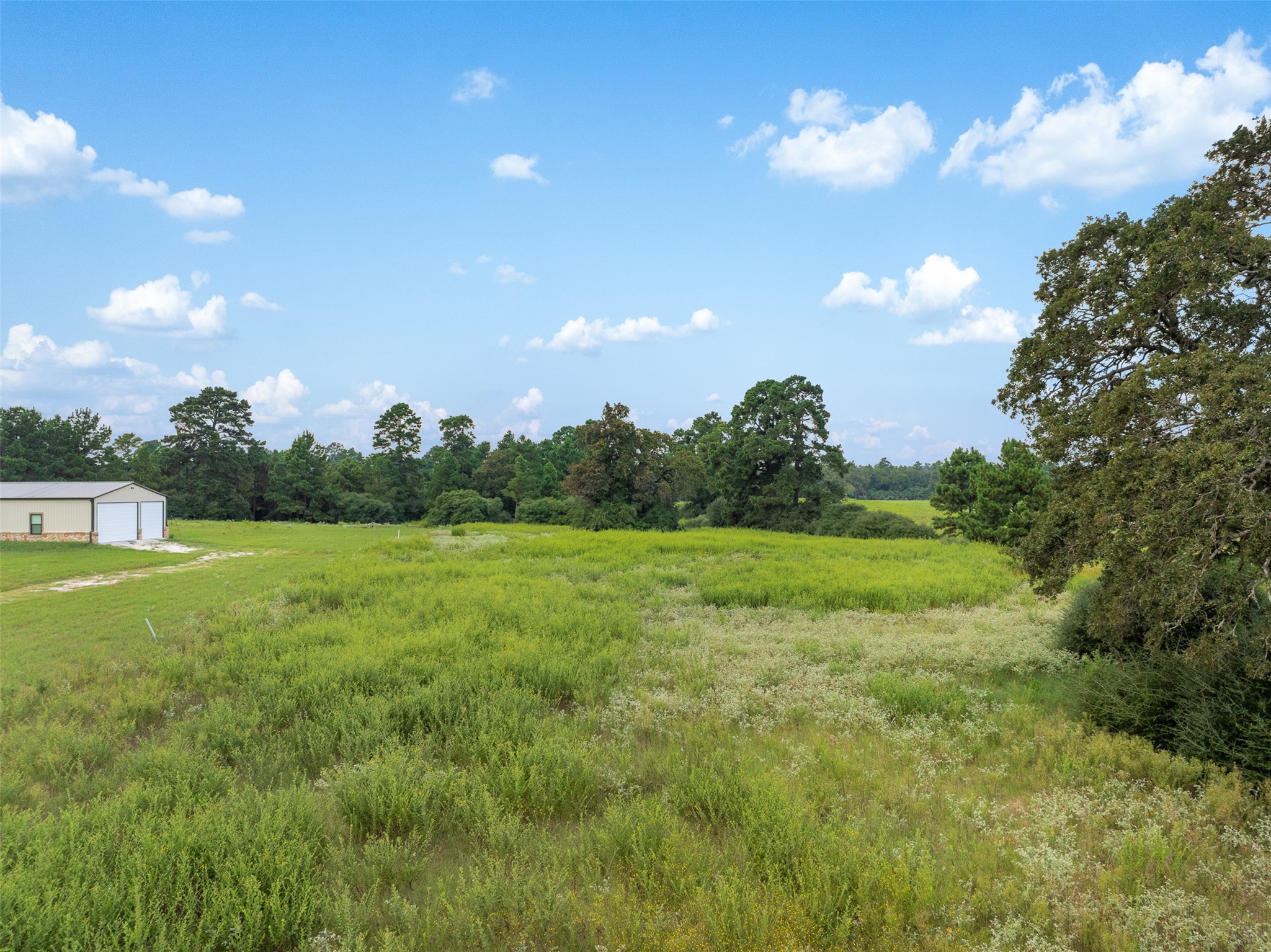 Trail 45 Pr 1315 Centerville TX 75833