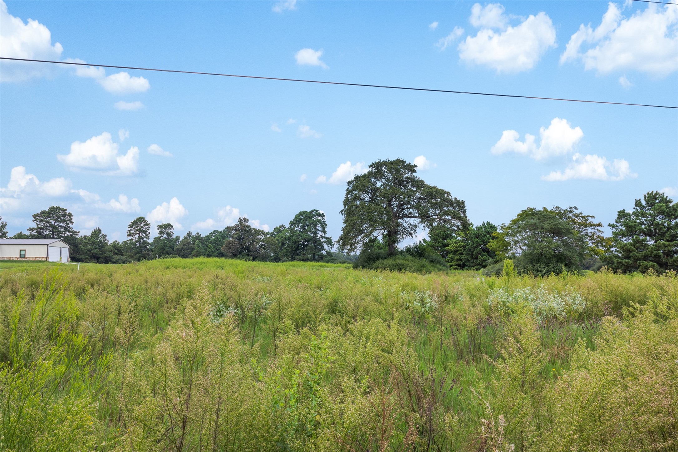 Trail 45 Pr 1315 Centerville TX 75833