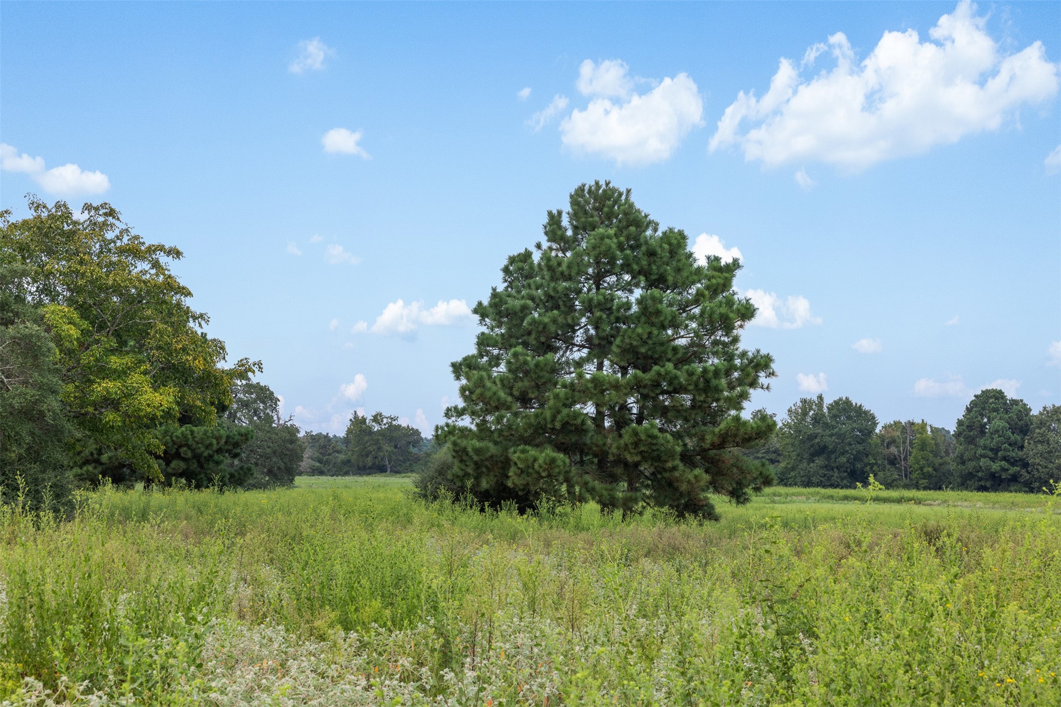 Trail 45 Pr 1315 Centerville TX 75833