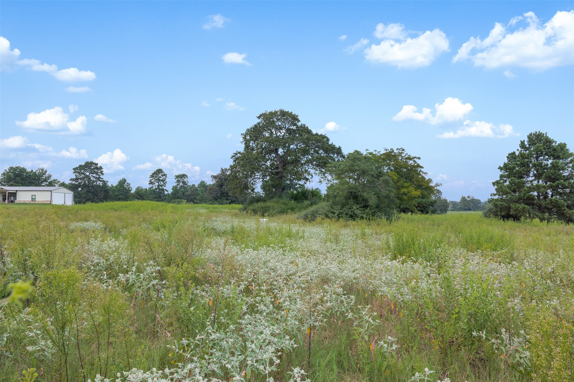 Trail 45 Pr 1315 Centerville TX 75833